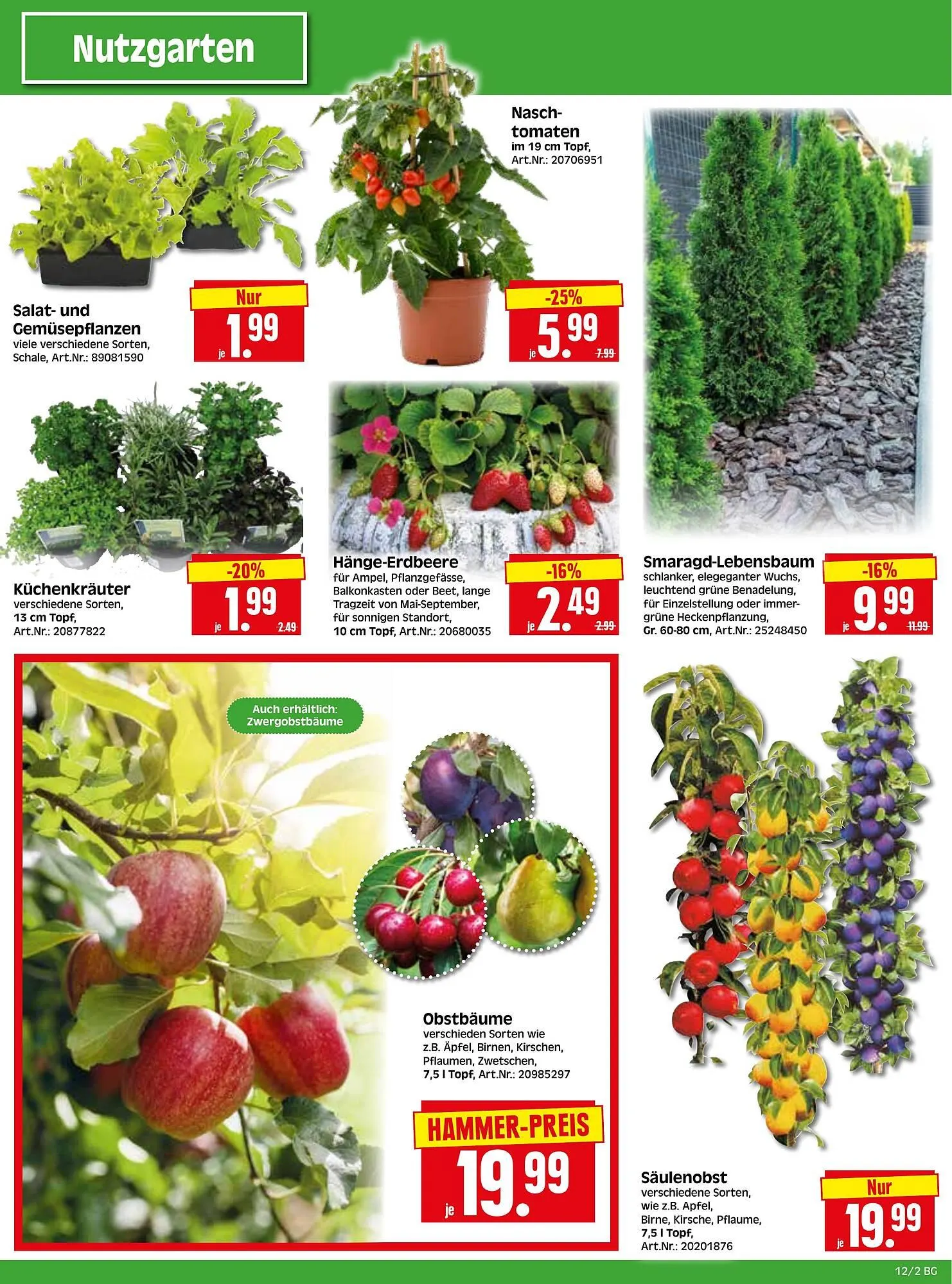 Herkules Baumarkt Prospekt von 17. März bis 22. März 2025 - Prospekt seite 2