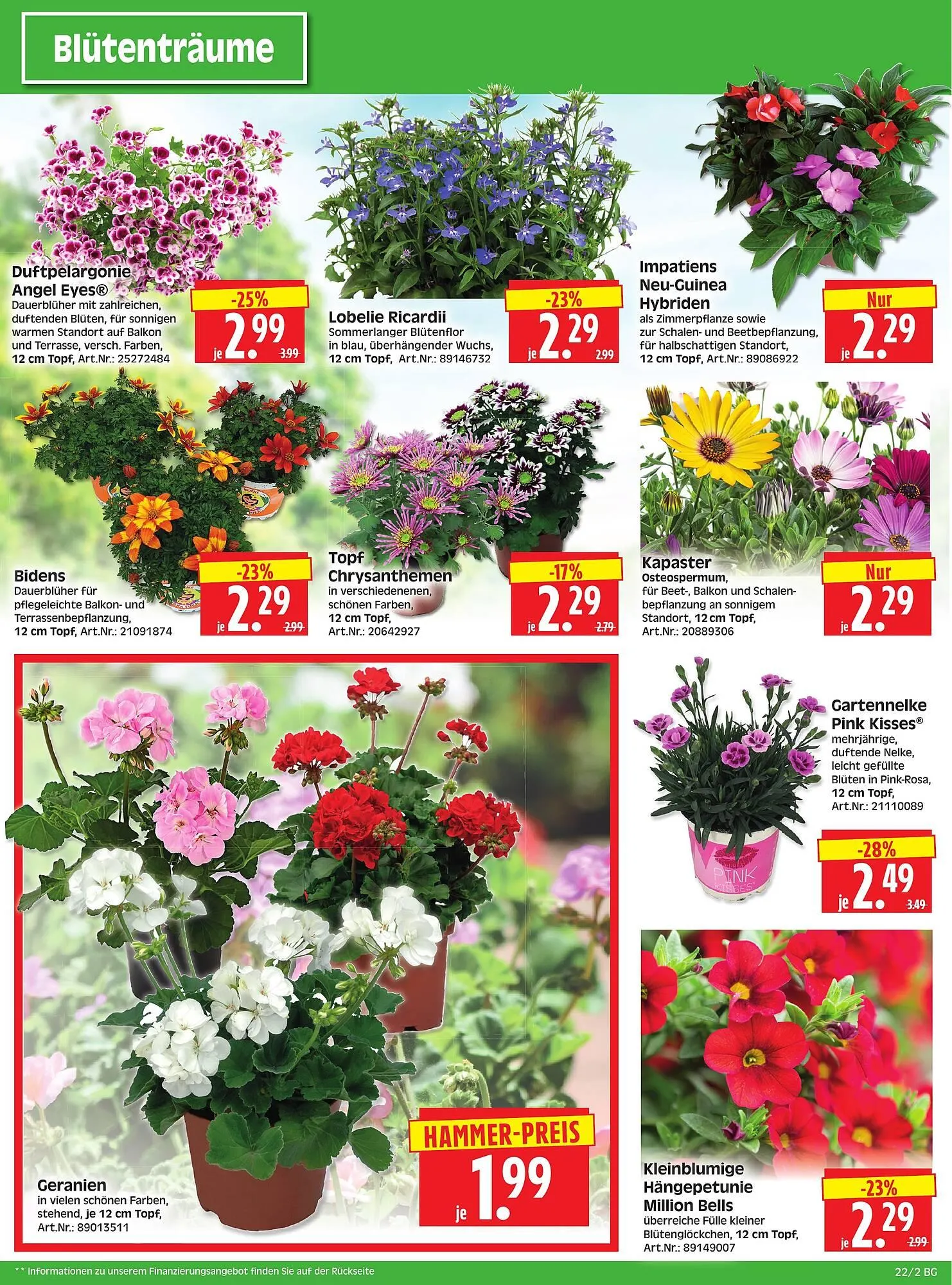 Herkules Baumarkt Prospekt von 26. Mai bis 31. Mai 2025 - Prospekt seite 2