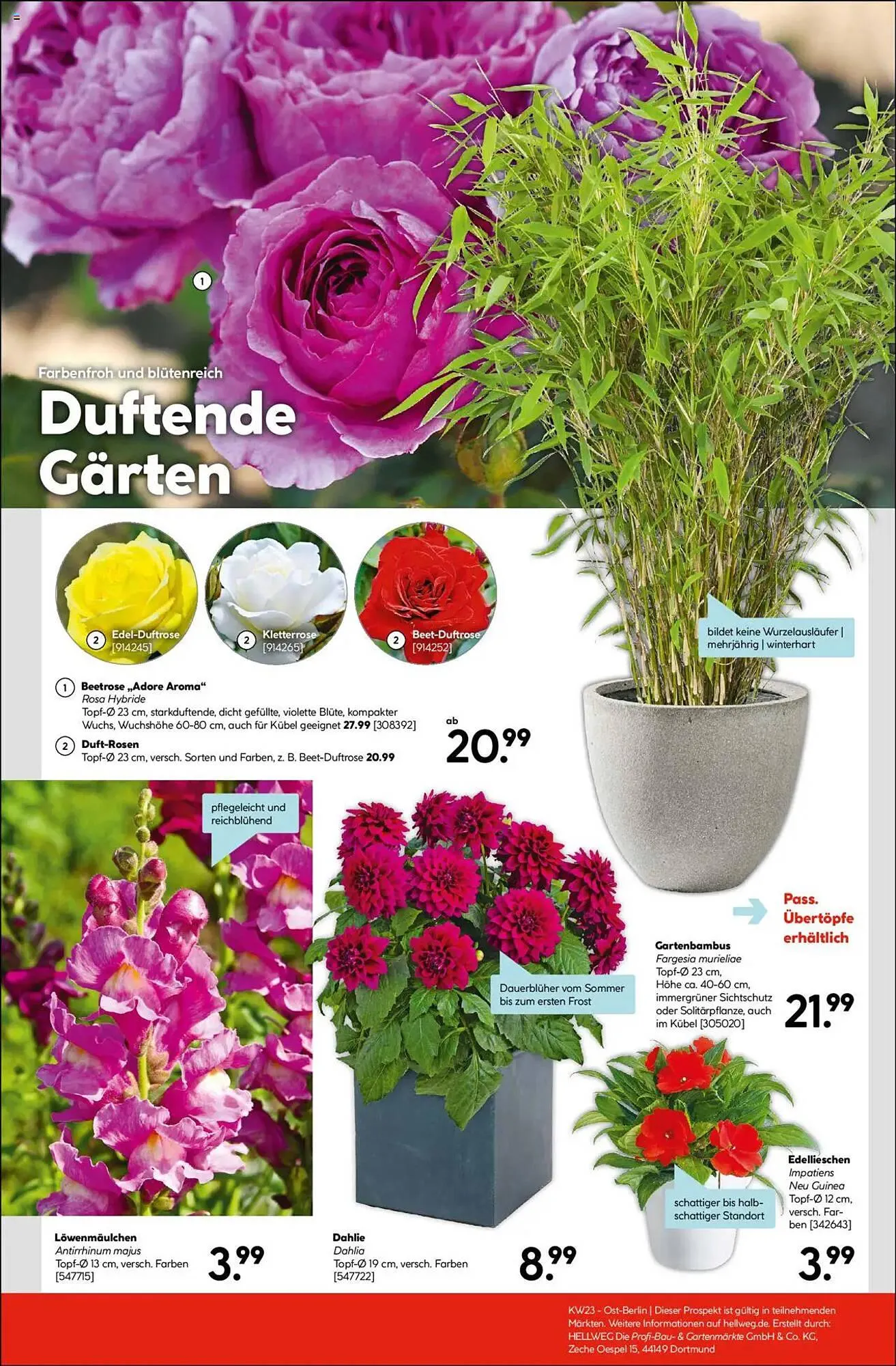 Hellweg Prospekt von 2. Juni bis 7. Juni 2025 - Prospekt seite 11