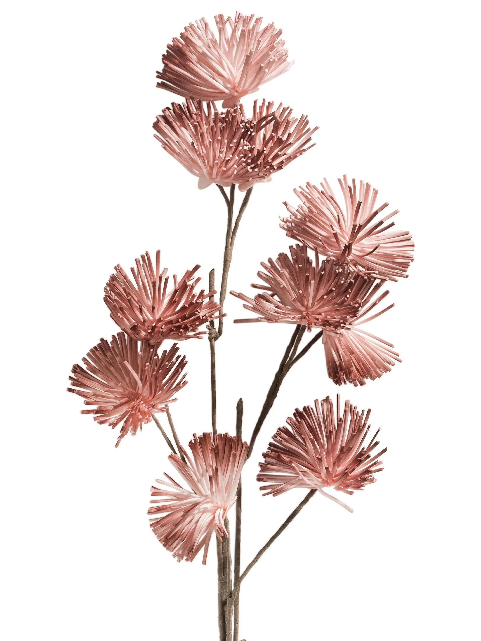 Softflower