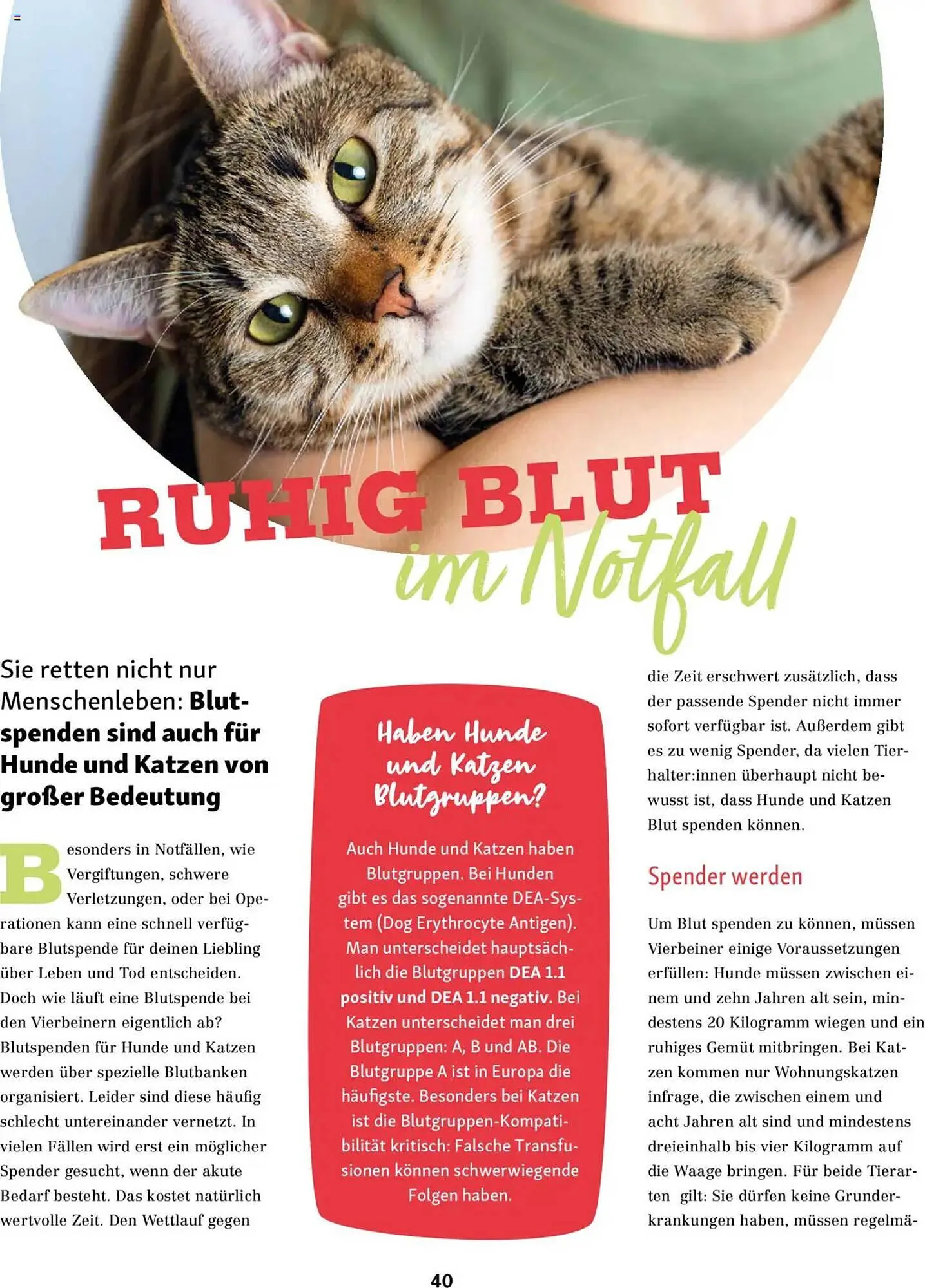 Fressnapf Magazin von 1. September bis 31. Oktober 2025 - Prospekt seite 40