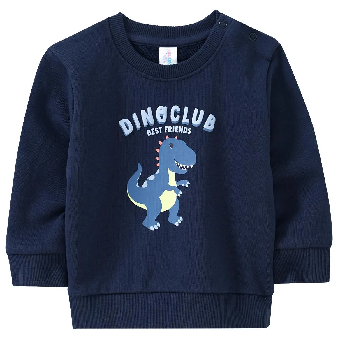 Baby Sweatshirt mit Dino-Print