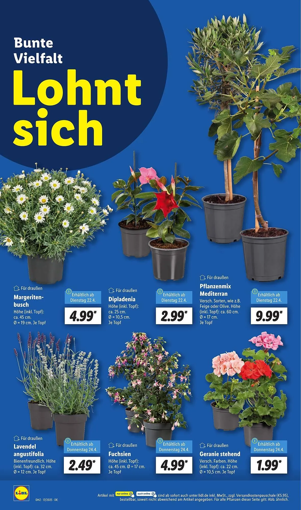 Lidl Prospekt von 22. April bis 26. April 2025 - Prospekt seite 6
