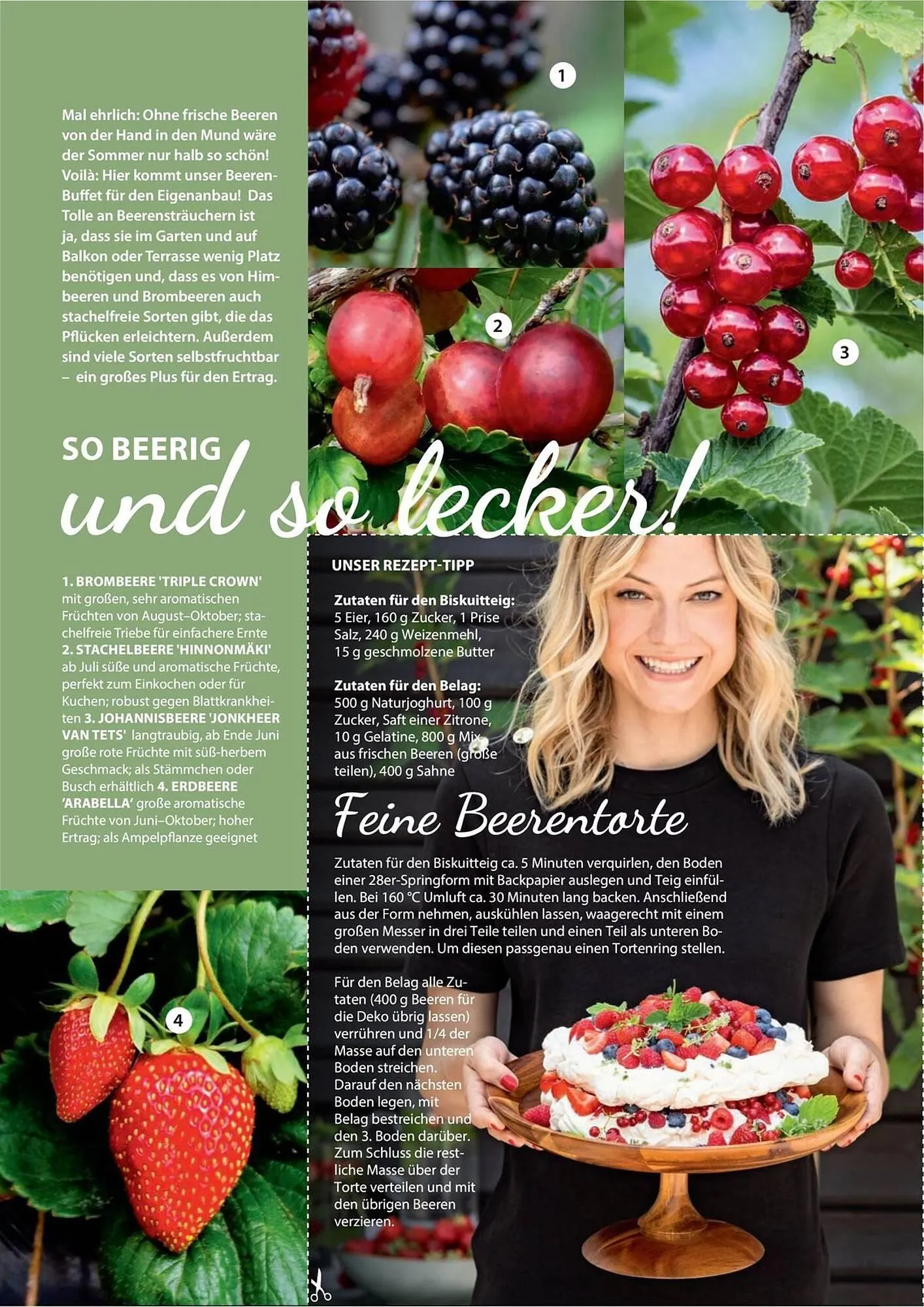 Dehner Prospekt von 1. Juli bis 31. Dezember 2025 - Prospekt seite 46