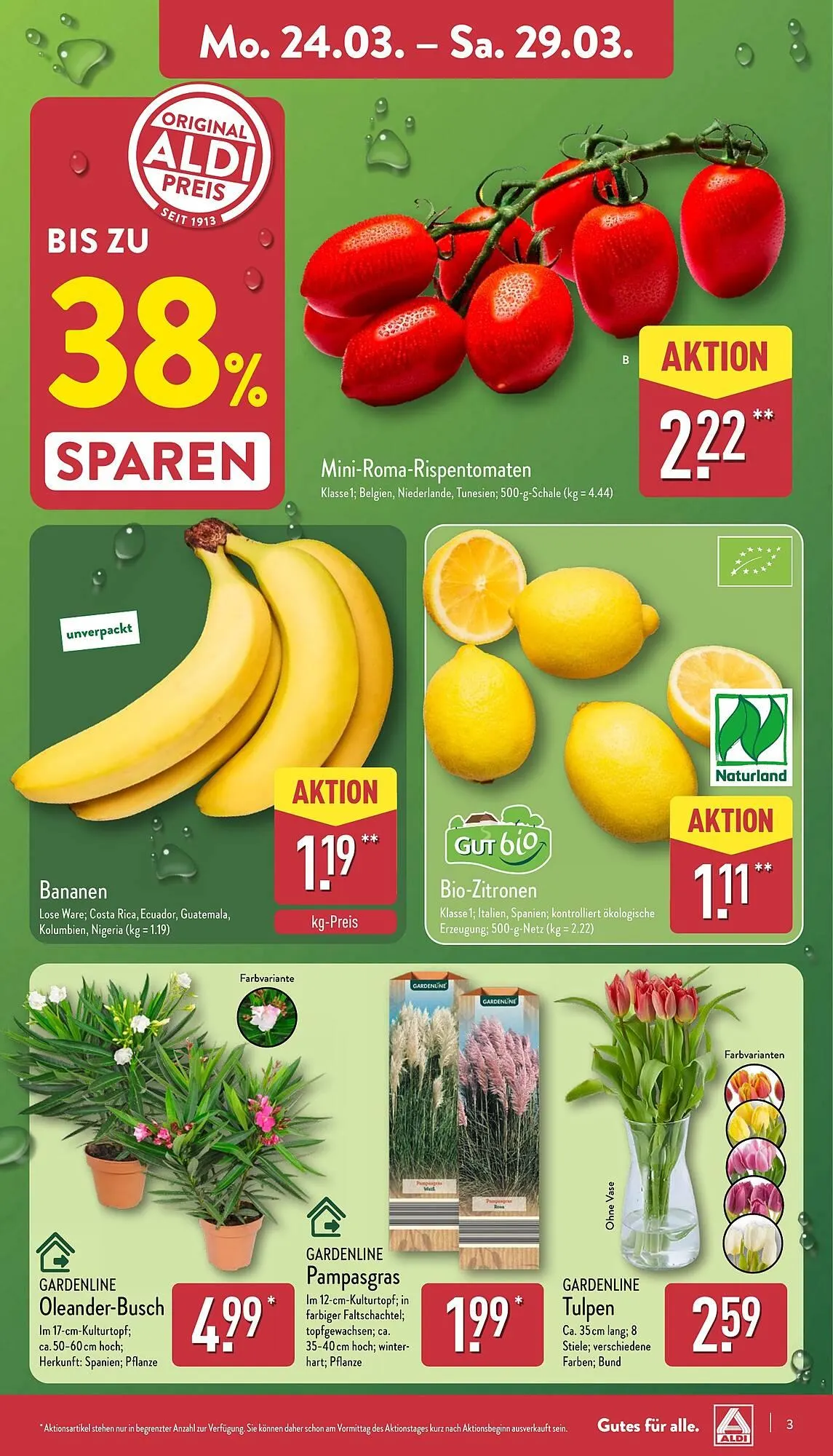 Aldi Nord Prospekt von 24. März bis 29. März 2025 - Prospekt seite 3