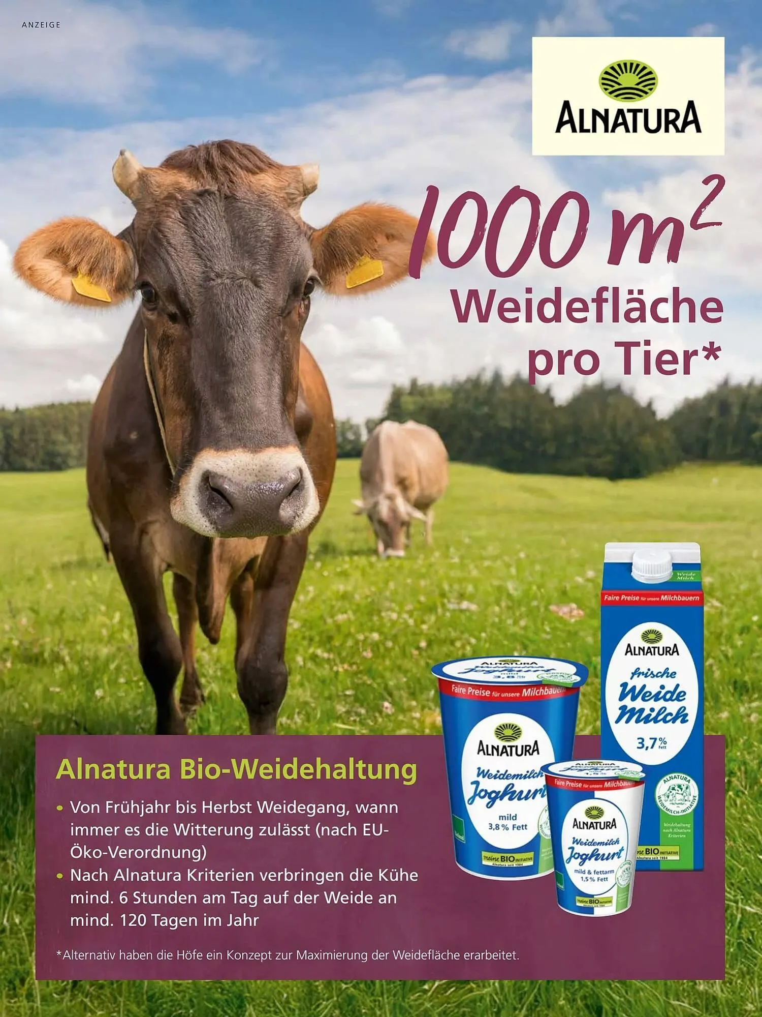 Alnatura Magazin von 1. Mai bis 1. Juni 2026 - Prospekt seite 32