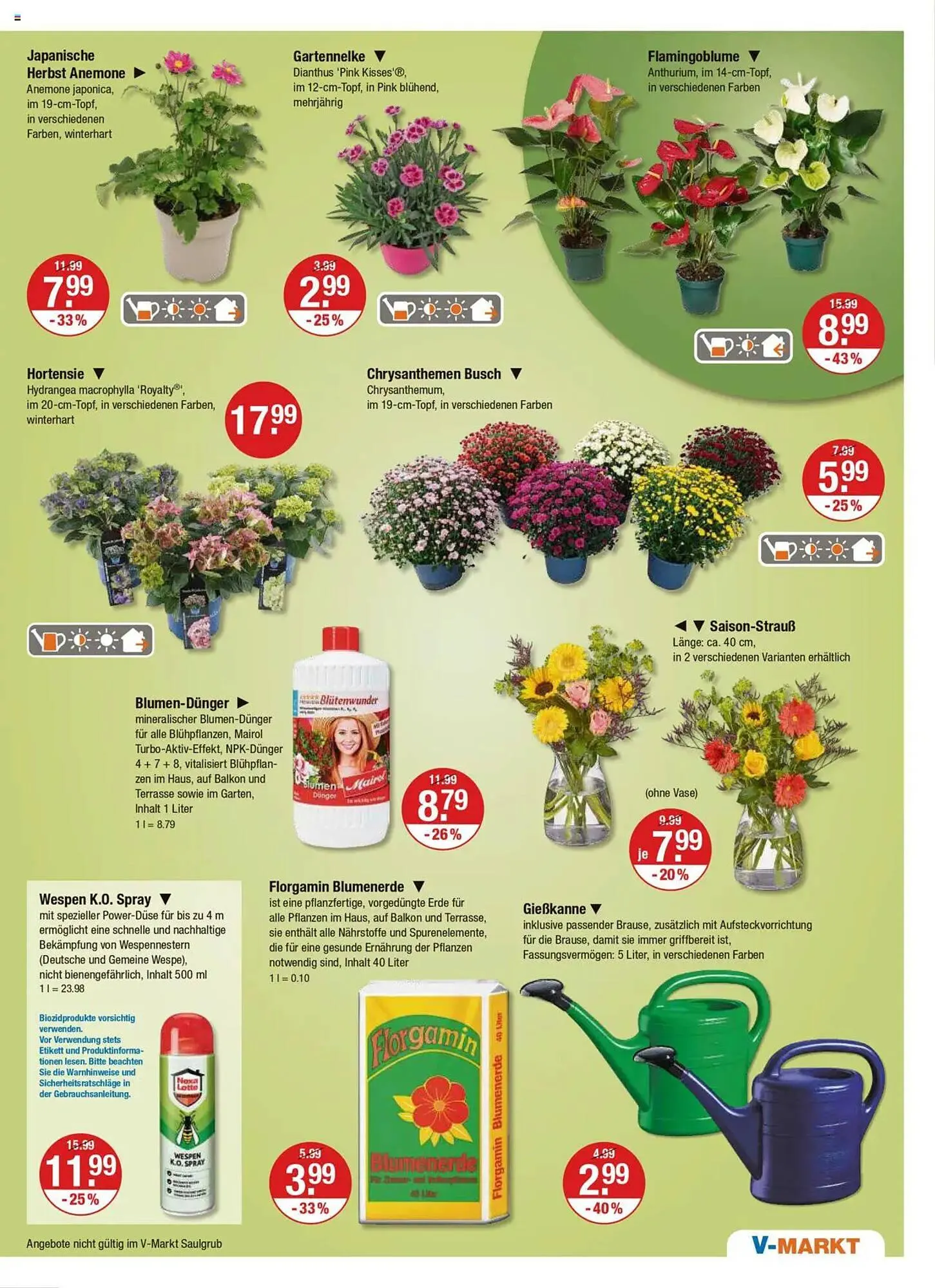 V Markt Prospekt von 14. August bis 20. August 2025 - Prospekt seite 21