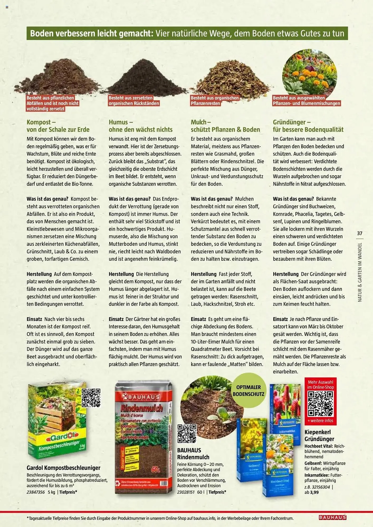 Bauhaus Prospekt von 20. Januar bis 30. Juni 2025 - Prospekt seite 37