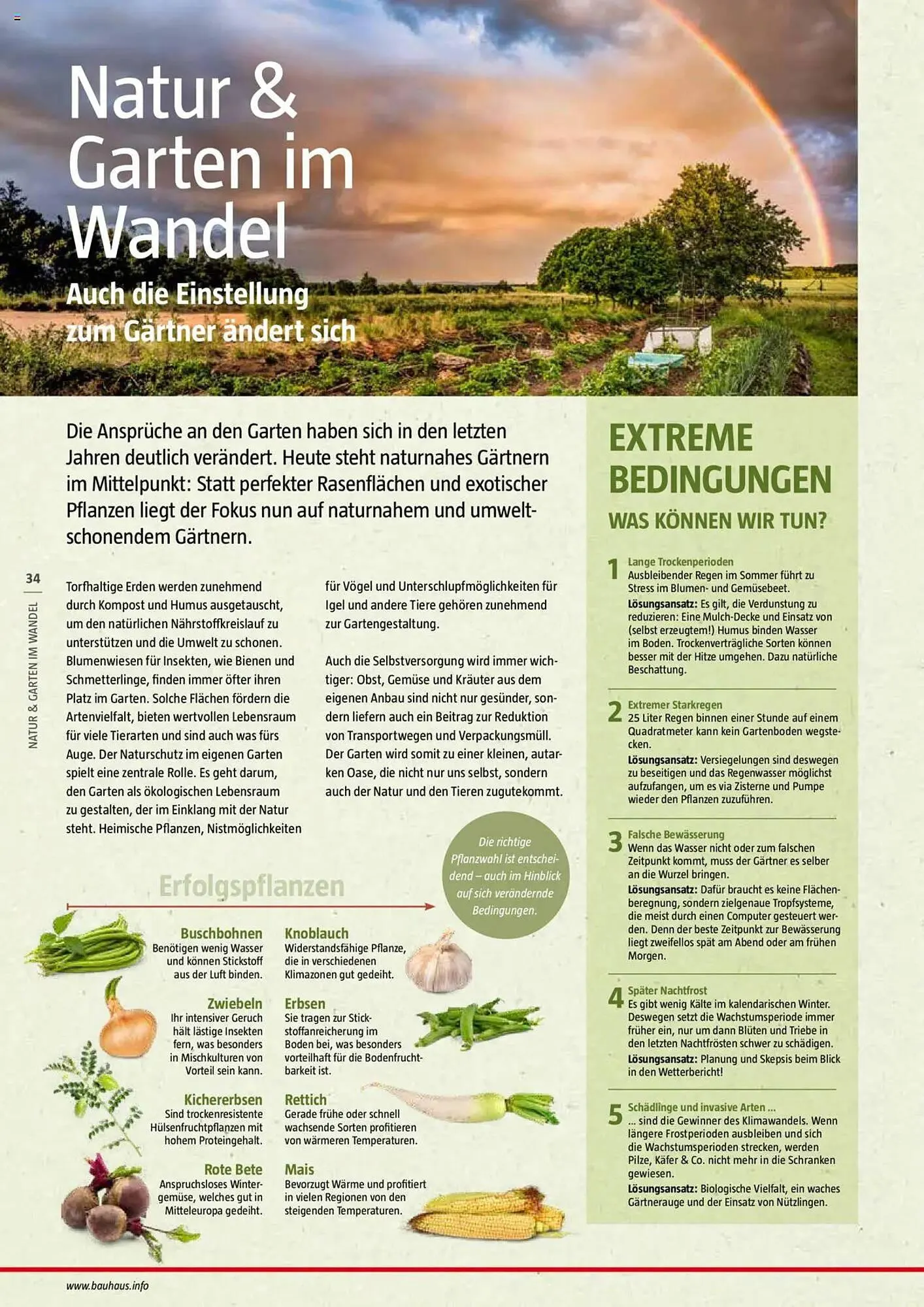 Bauhaus Prospekt von 20. Januar bis 30. Juni 2025 - Prospekt seite 34