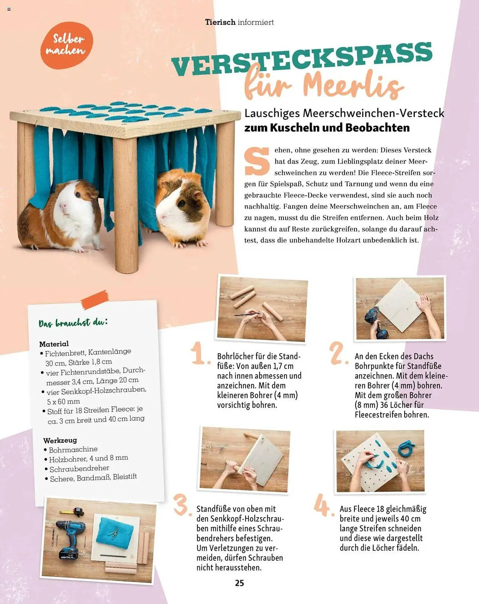 Fressnapf Prospekt von 1. Mai bis 30. Juni 2025 - Prospekt seite 25