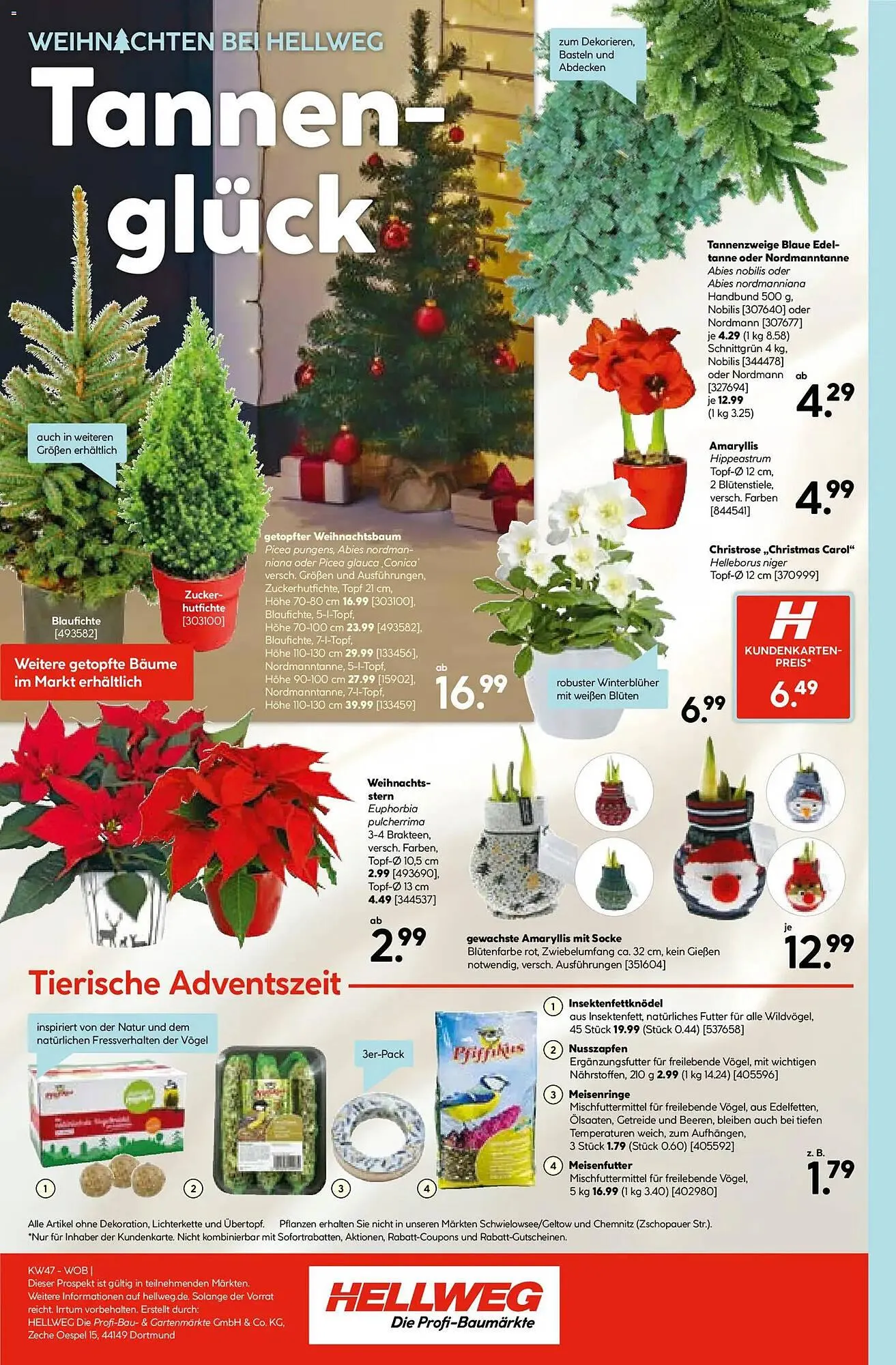 Hellweg Prospekt von 17. November bis 22. November 2025 - Prospekt seite 16