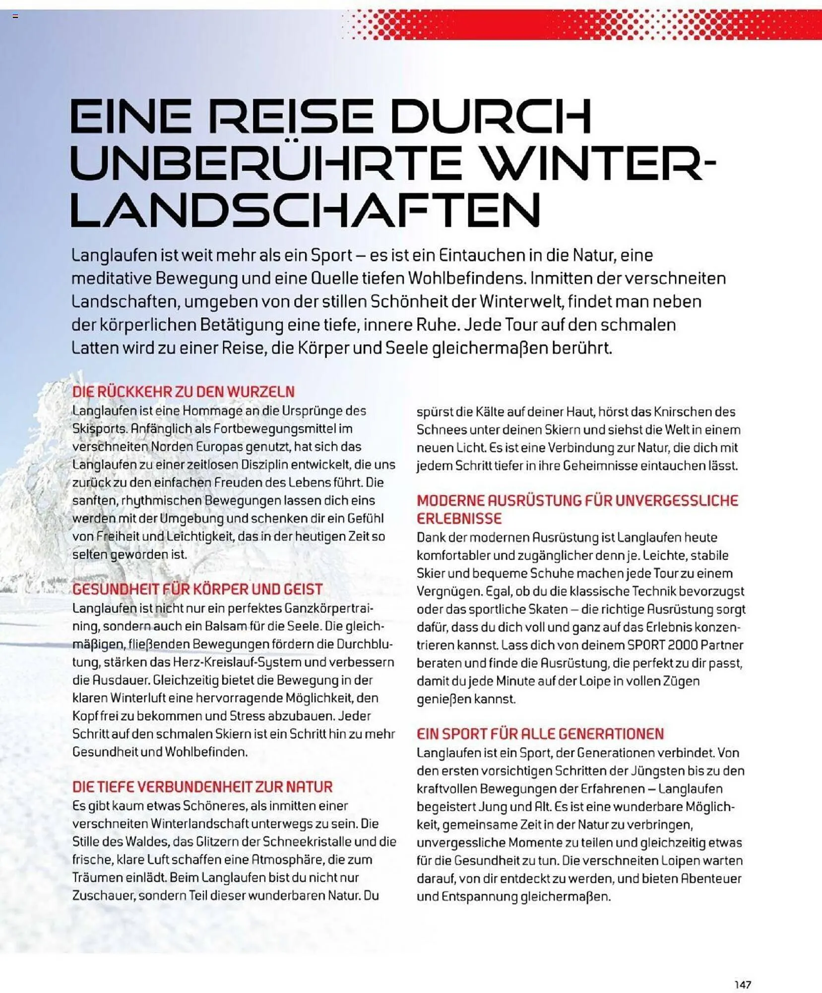 Sport 2000 Prospekt von 4. Dezember bis 28. Februar 2026 - Prospekt seite 123