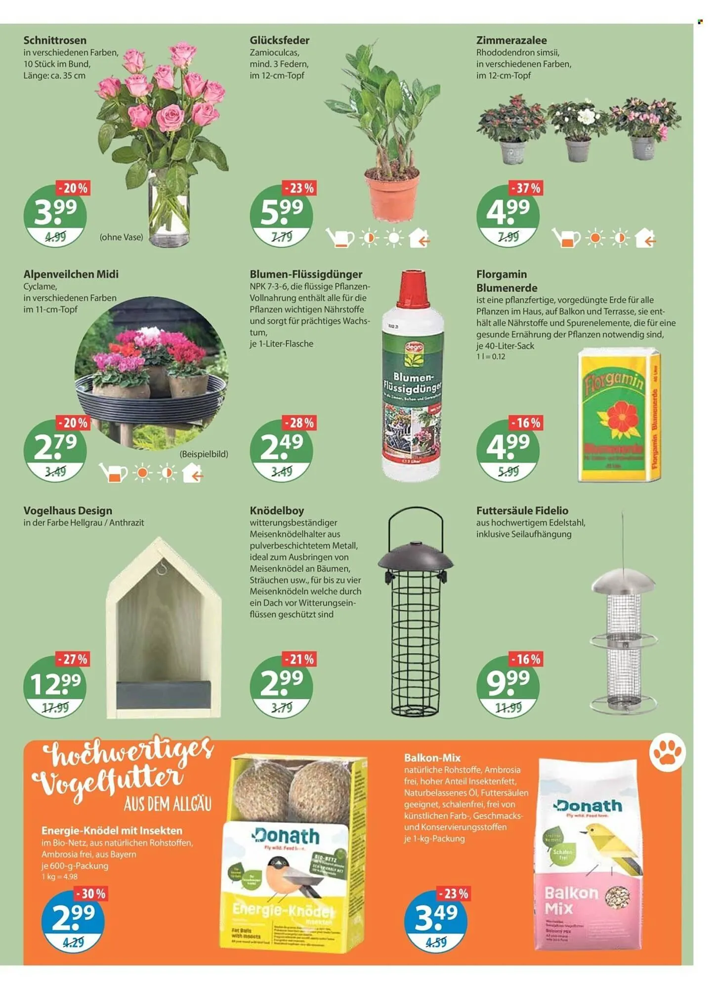 V Markt Prospekt von 15. Januar bis 21. Januar 2026 - Prospekt seite 15