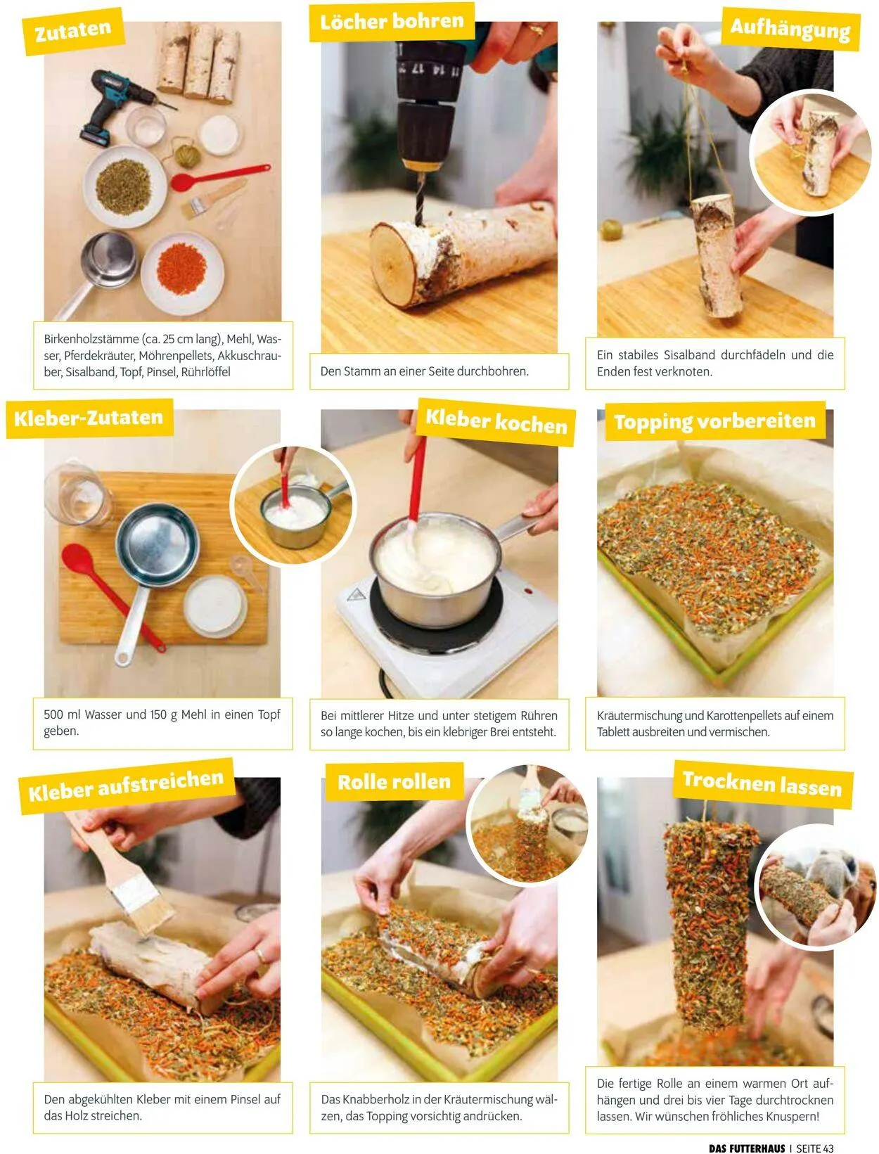 Futterhaus Aktueller Prospekt von 1. August bis 31. August 2025 - Prospekt seite 43