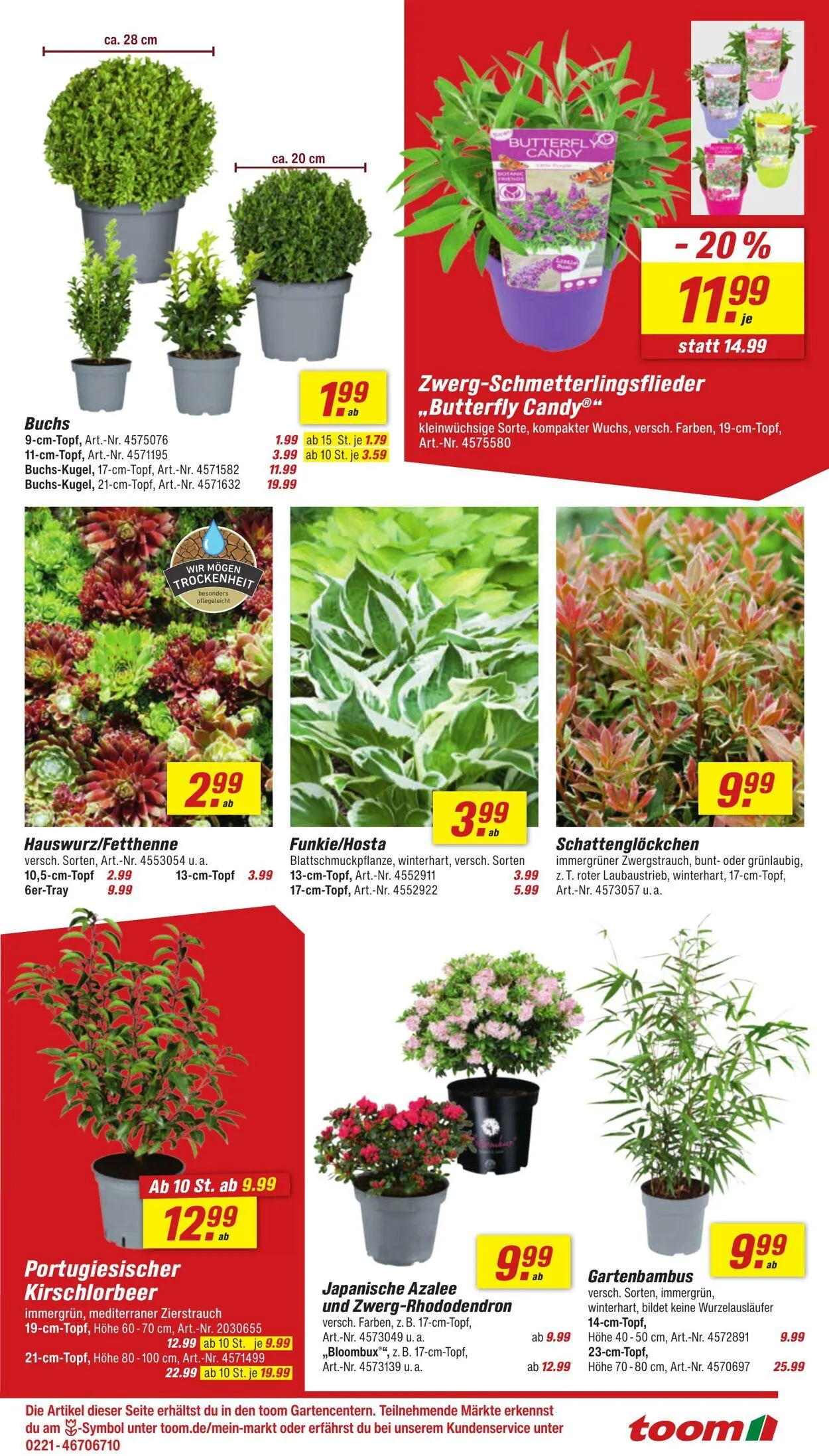 toom Baumarkt Aktueller Prospekt von 18. August bis 1. September 2025 - Prospekt seite 7