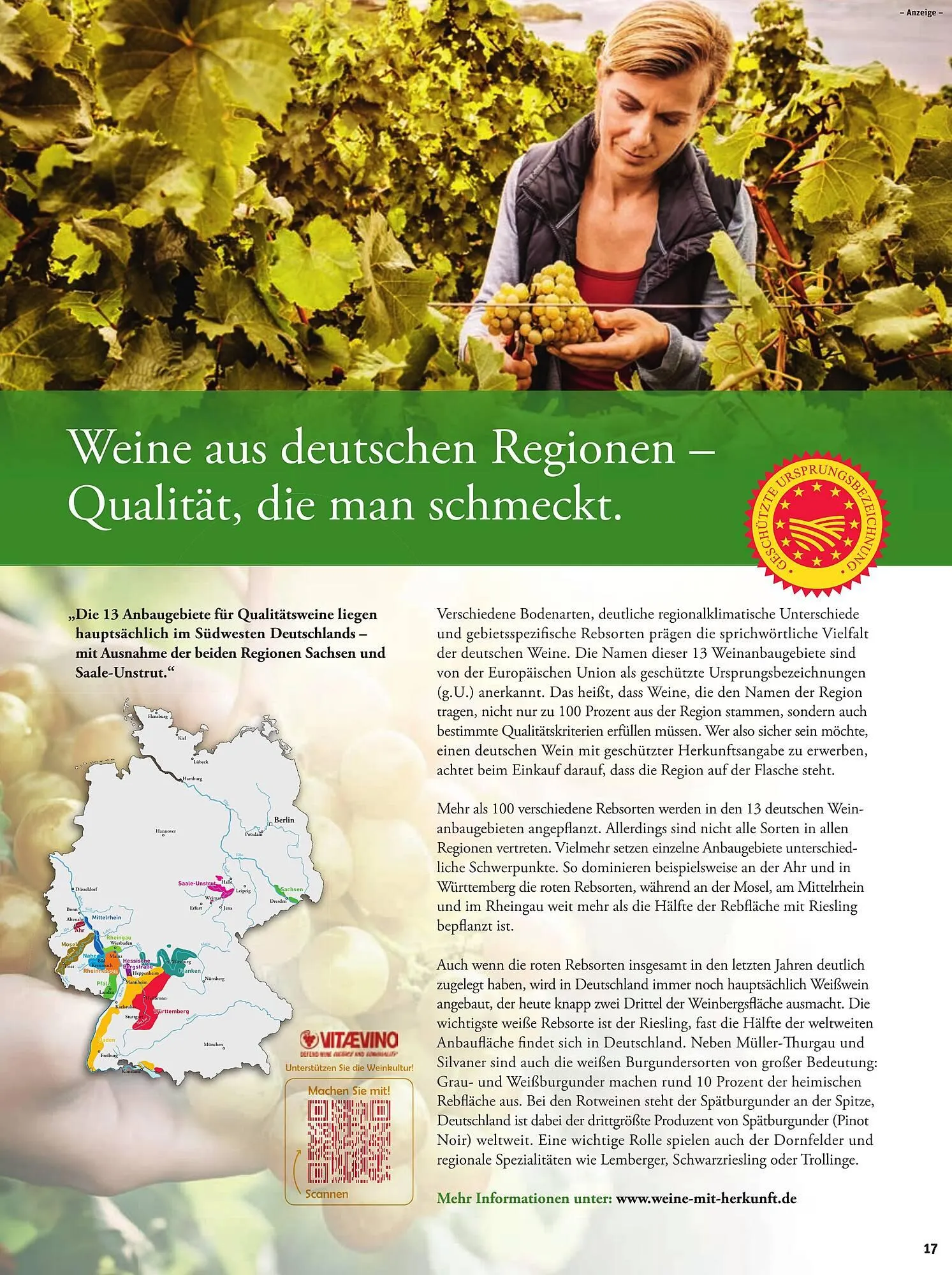 basic Prospekt von 12. Juni bis 14. Juni 2025 - Prospekt seite 19