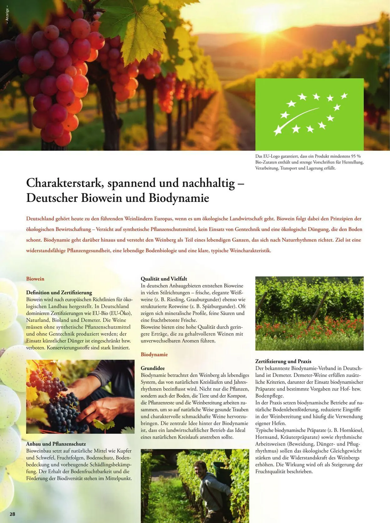 Tegut Aktueller Prospekt von 8. Dezember bis 14. Dezember 2025 - Prospekt seite 30