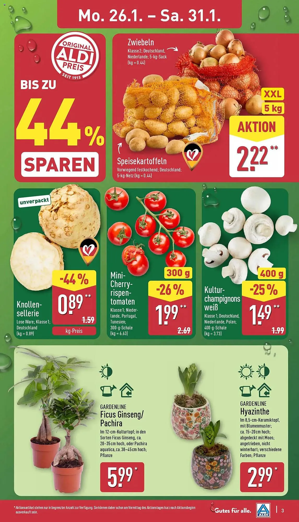 Aldi Nord Prospekt von 26. Januar bis 31. Januar 2026 - Prospekt seite 3