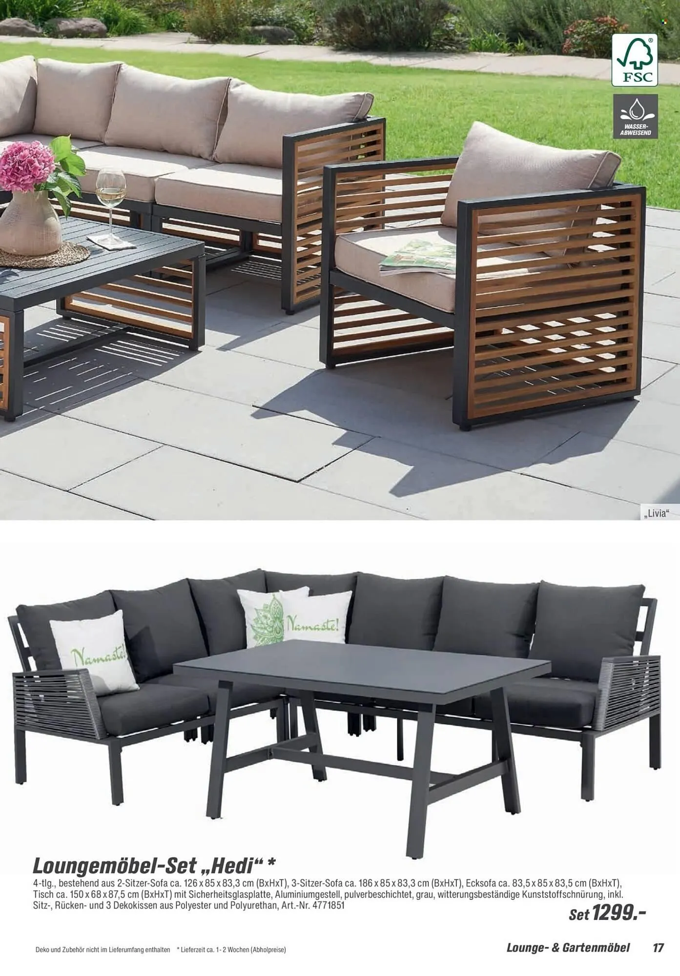 Toom Baumarkt Prospekt von 14. Februar bis 30. April 2026 - Prospekt seite 17