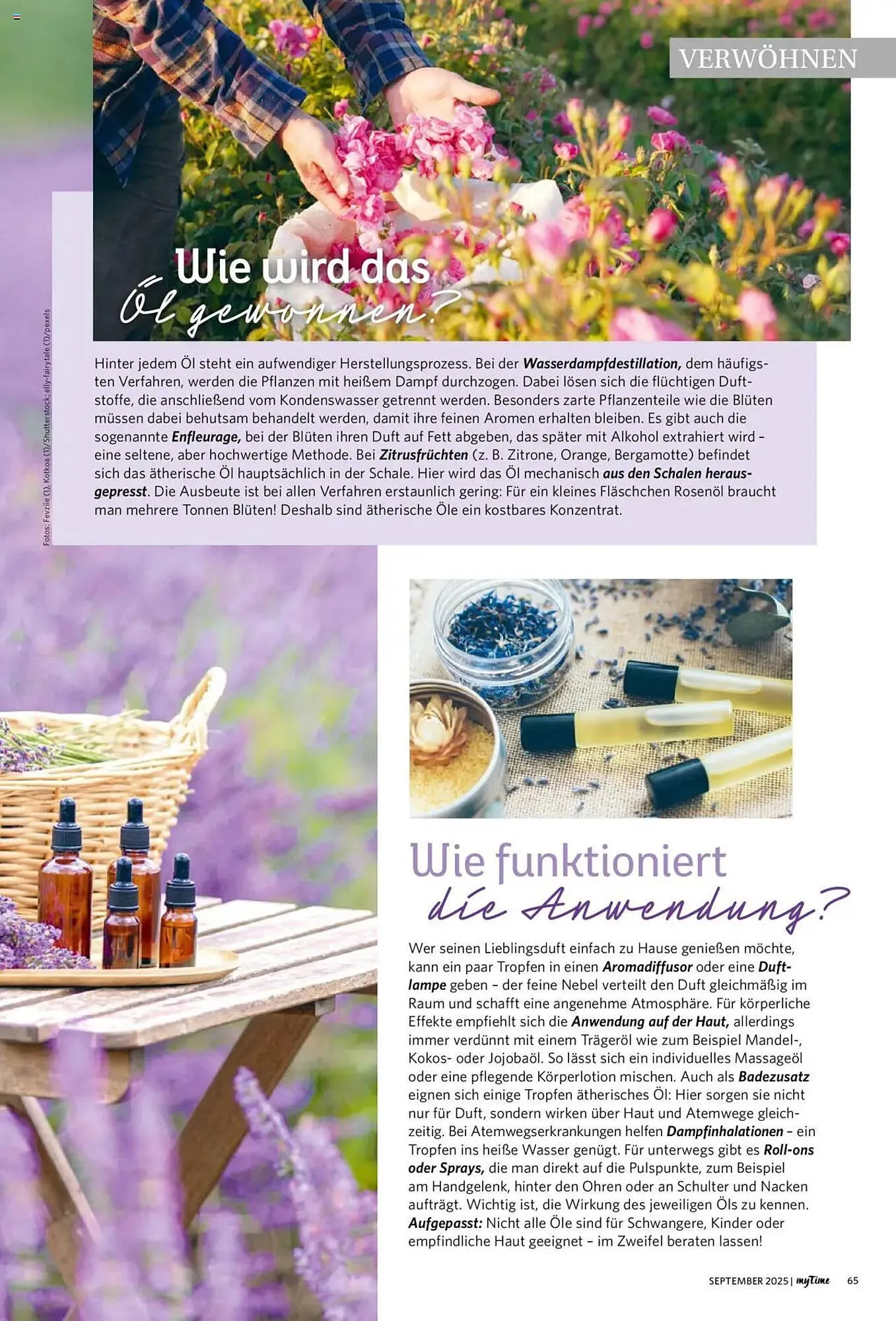 Combi Prospekt von 1. September bis 30. September 2026 - Prospekt seite 65