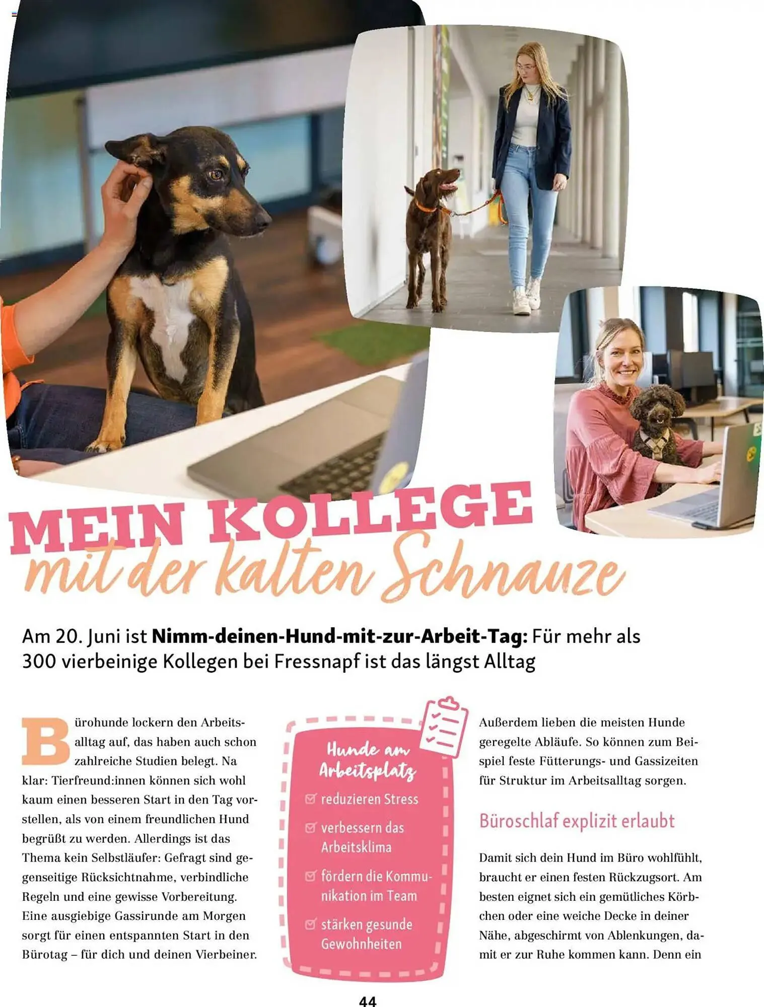 Fressnapf Prospekt von 1. Mai bis 30. Juni 2025 - Prospekt seite 44