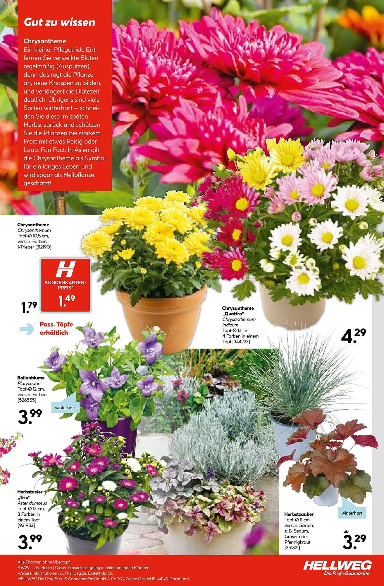 Hellweg Prospekt von 14. Juli bis 20. Juli 2025 - Prospekt seite 19