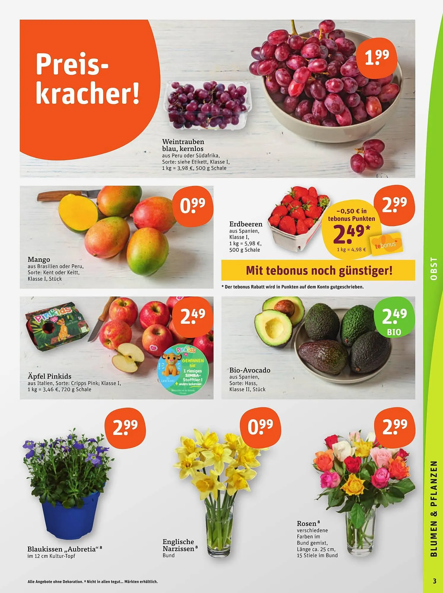 basic Prospekt von 13. März bis 15. März 2025 - Prospekt seite 5