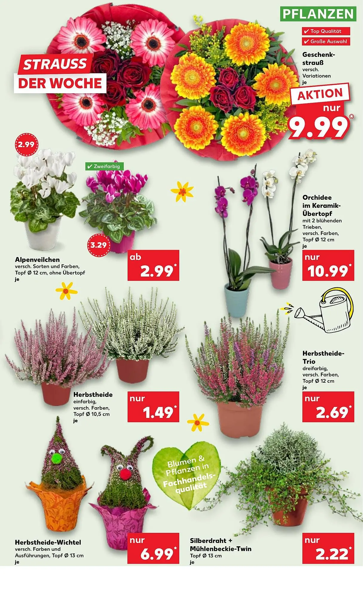 Kaufland Prospekt von 9. Oktober bis 15. Oktober 2025 - Prospekt seite 5