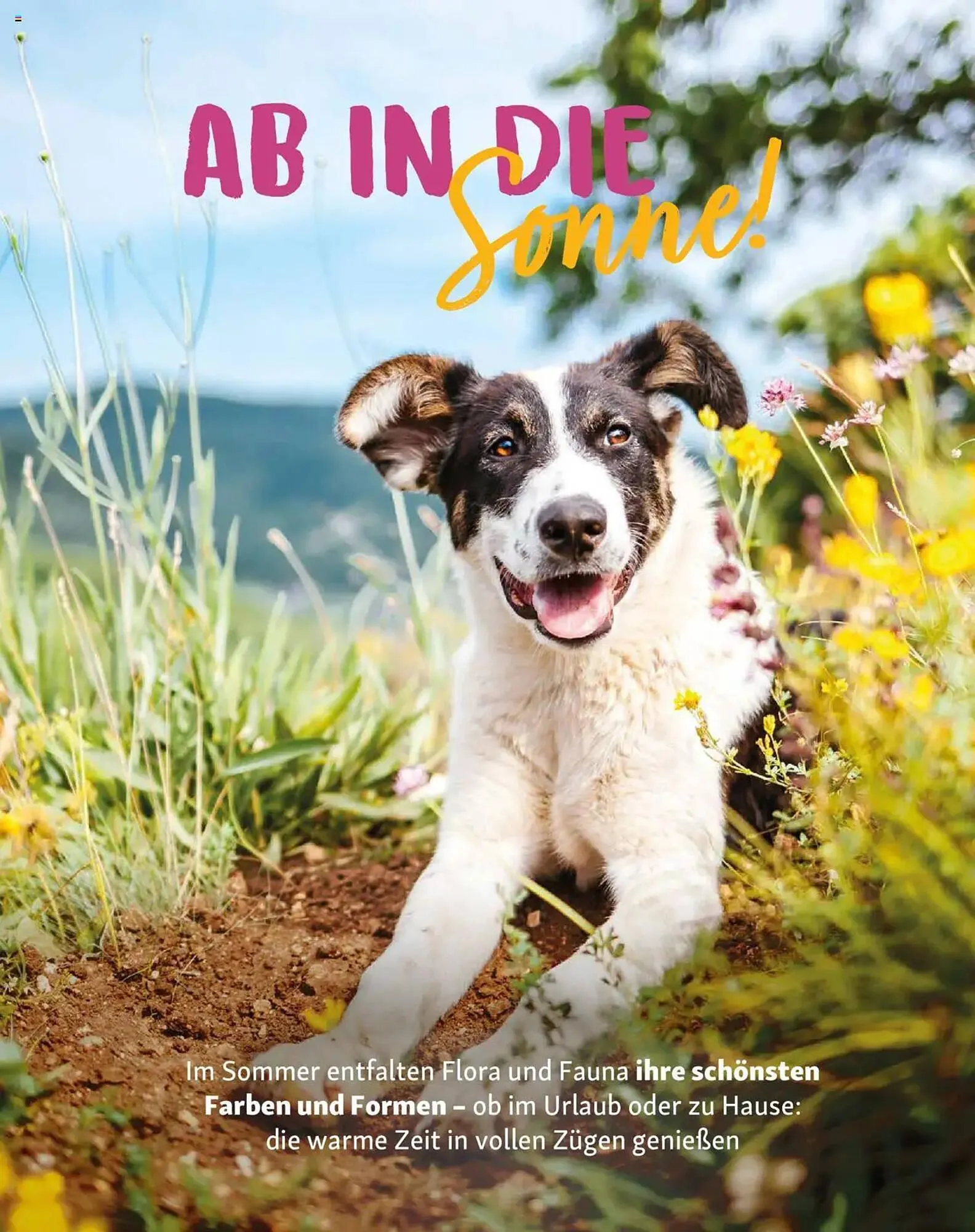 Fressnapf Prospekt von 1. Juli bis 31. August 2025 - Prospekt seite 11