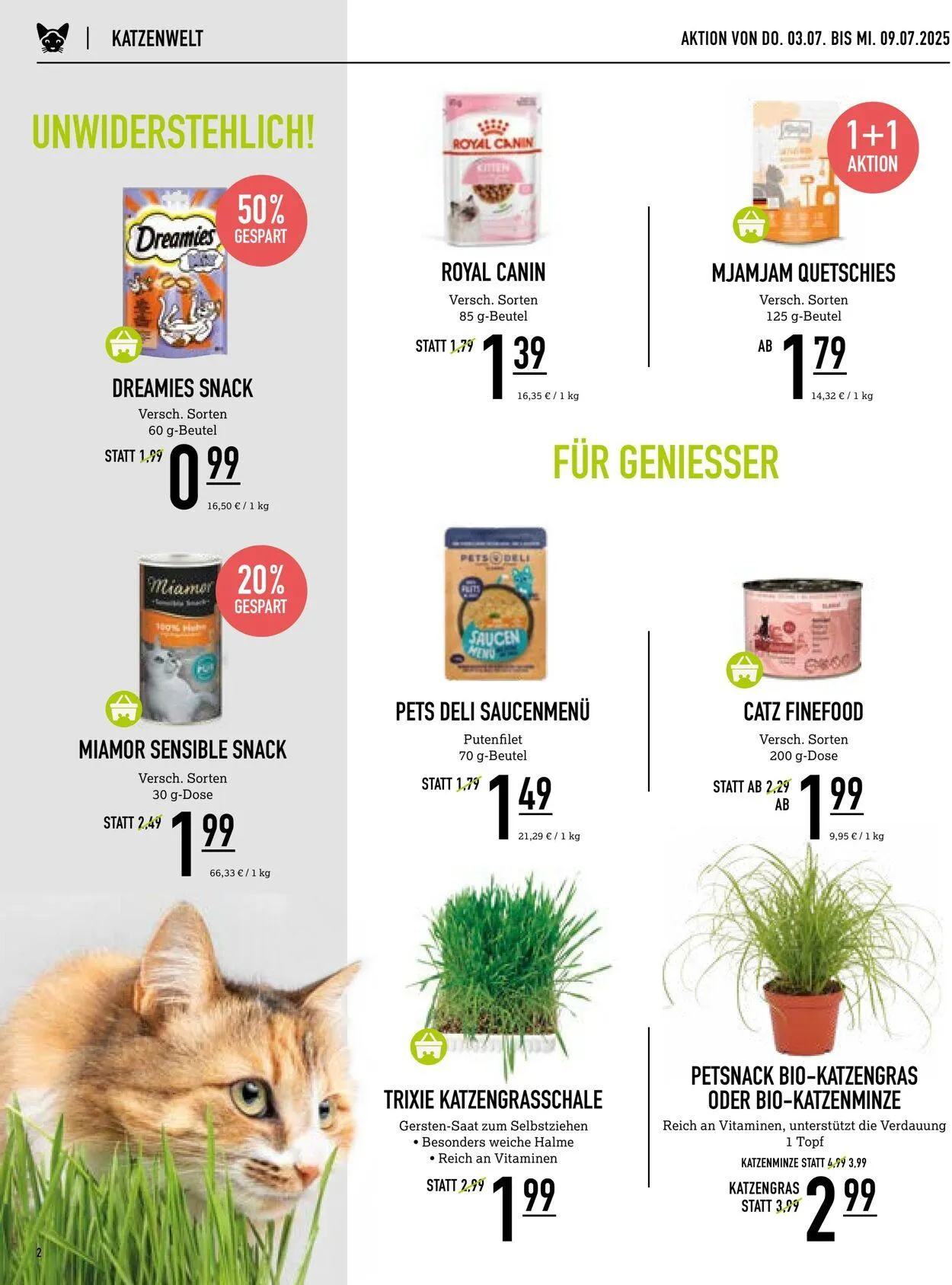 Kölle Zoo Aktueller Prospekt von 2. Juli bis 16. Juli 2025 - Prospekt seite 2