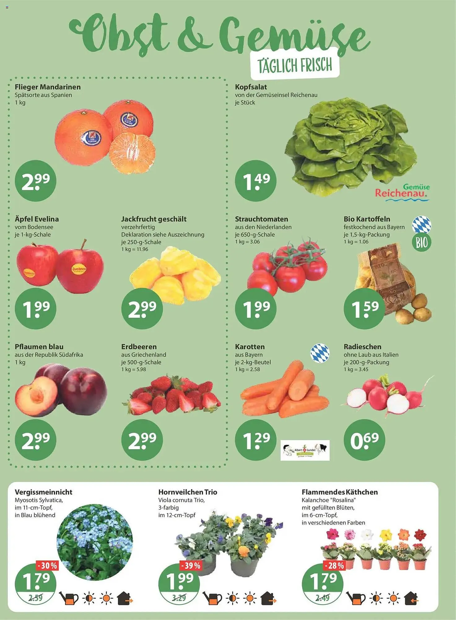 V Markt Prospekt von 26. Februar bis 4. März 2026 - Prospekt seite 4