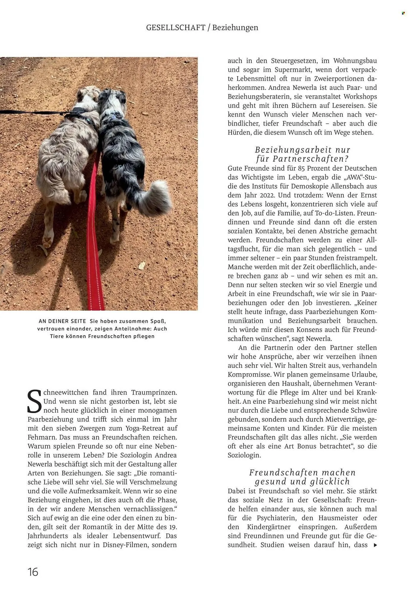 Rossmann Magazin von 1. Februar bis 28. Februar 2026 - Prospekt seite 16