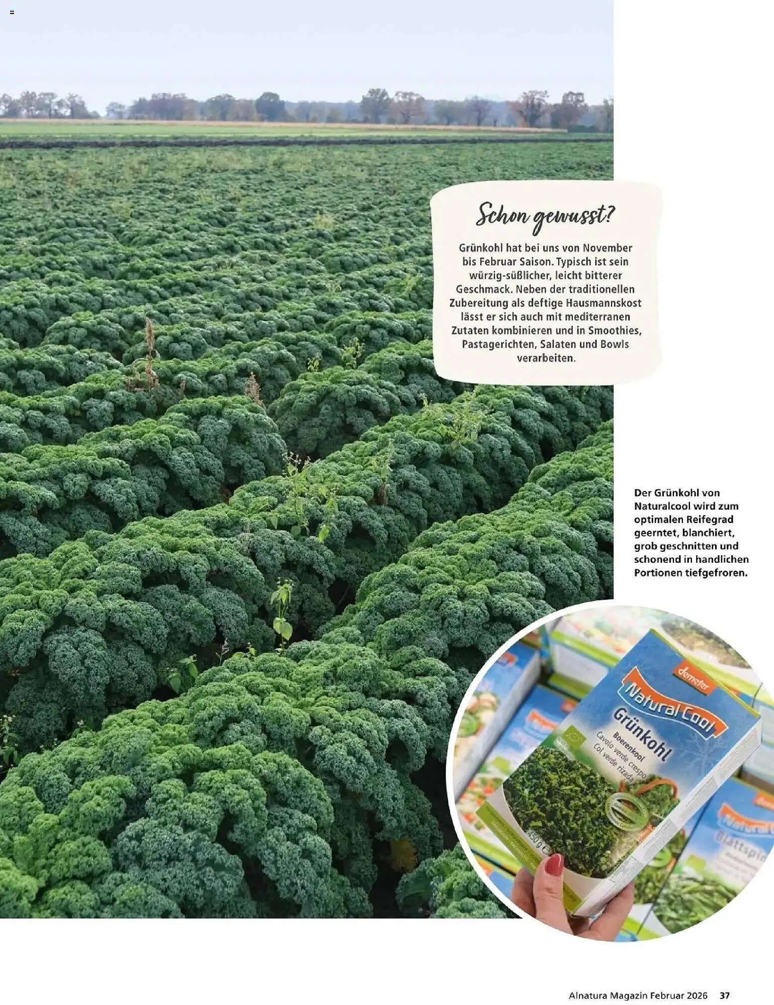Alnatura Prospekt von 1. Februar bis 28. Februar 2026 - Prospekt seite 37