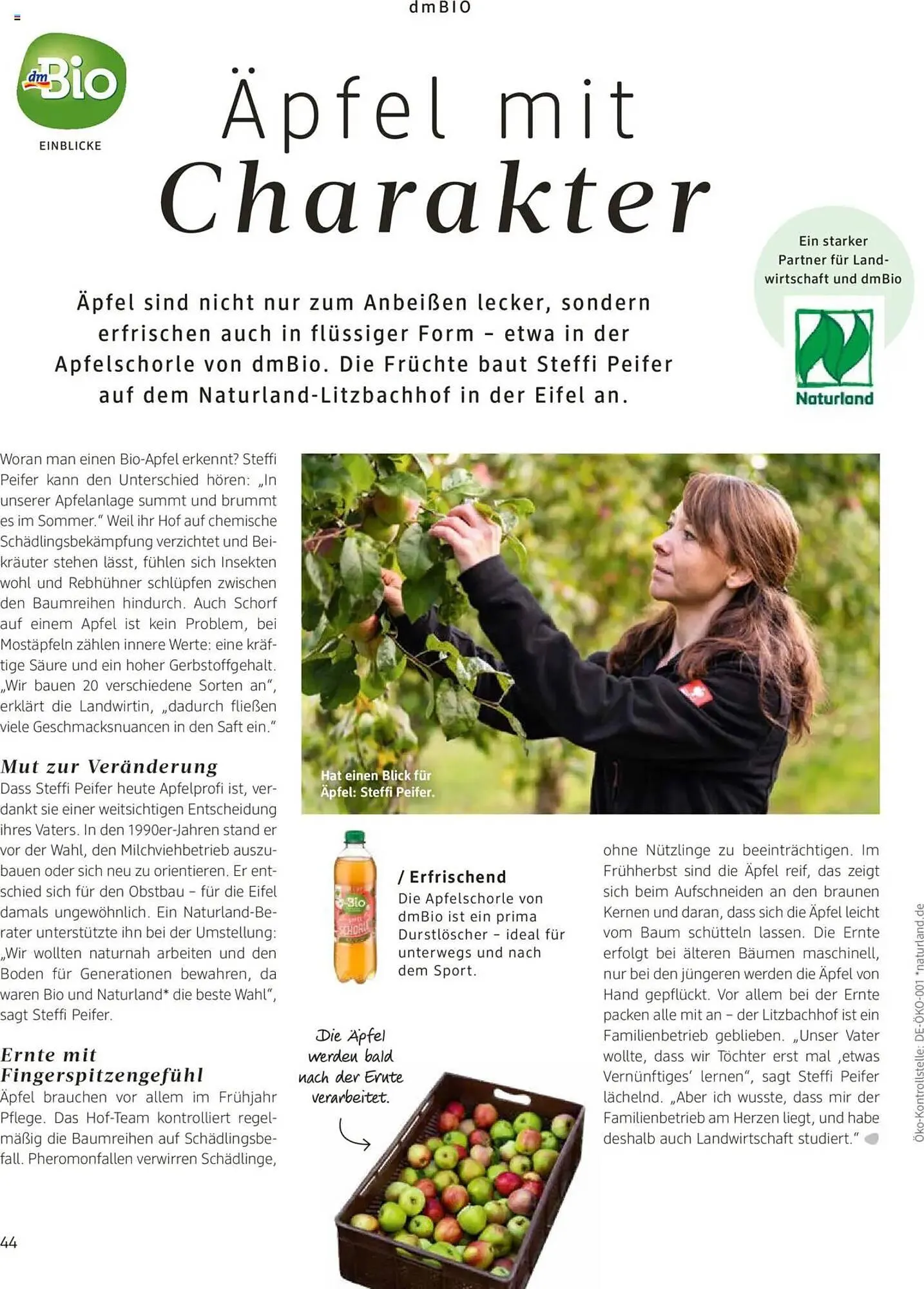 dm drogerie Prospekt von 1. August bis 31. August 2025 - Prospekt seite 44