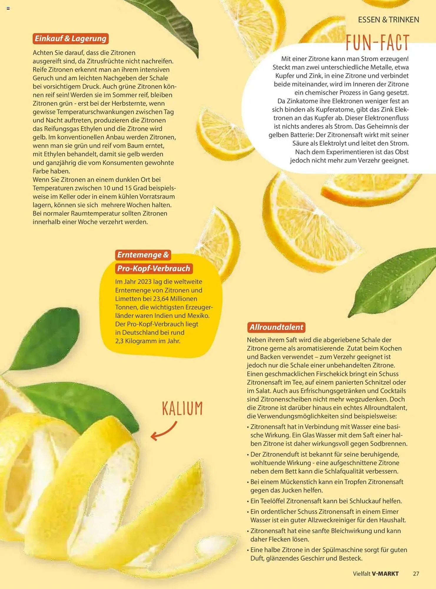 V Markt Prospekt von 1. Juli bis 31. August 2025 - Prospekt seite 27