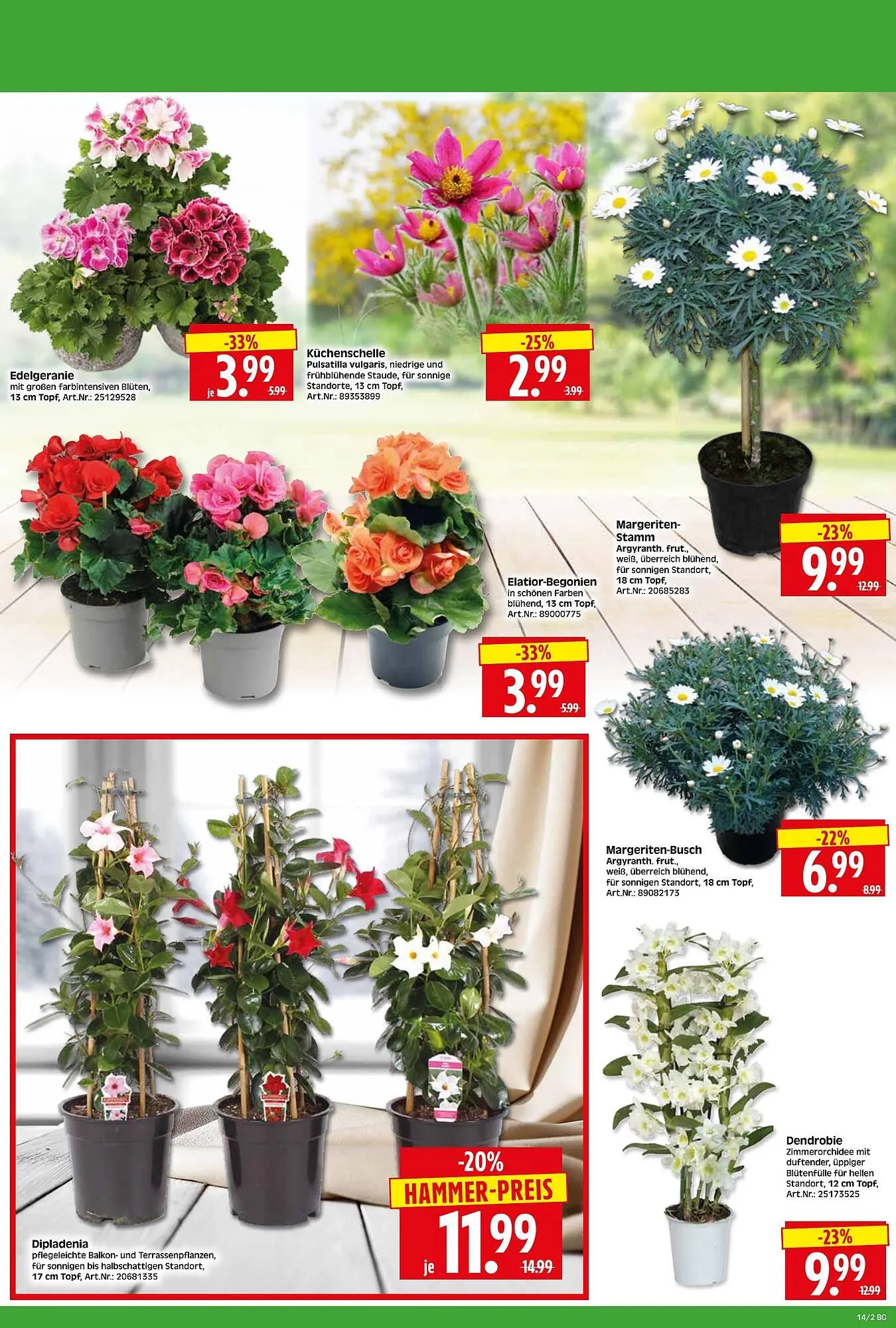 Herkules Baumarkt Prospekt von 30. März bis 4. April 2026 - Prospekt seite 2