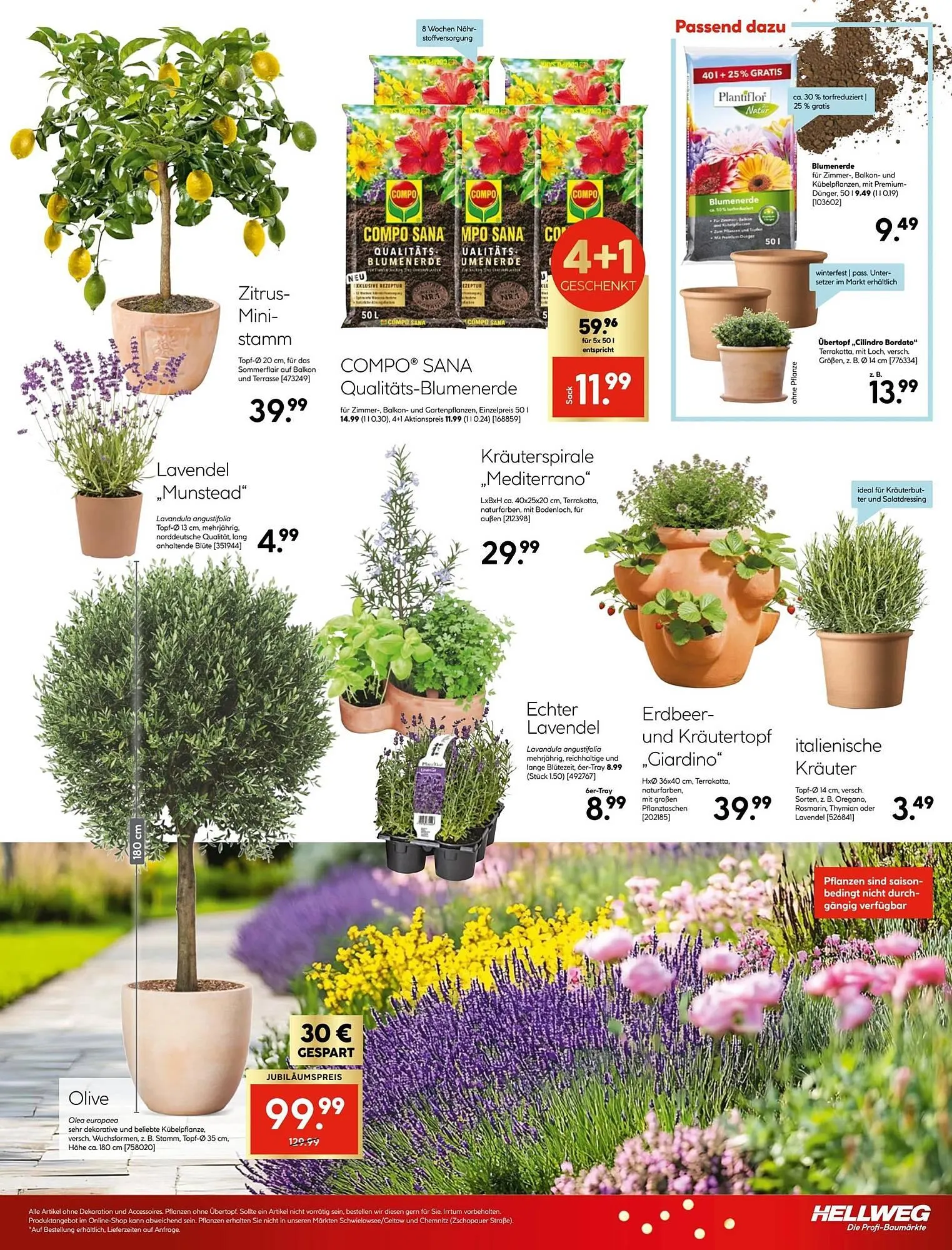 Hellweg Prospekt von 30. März bis 5. April 2026 - Prospekt seite 29
