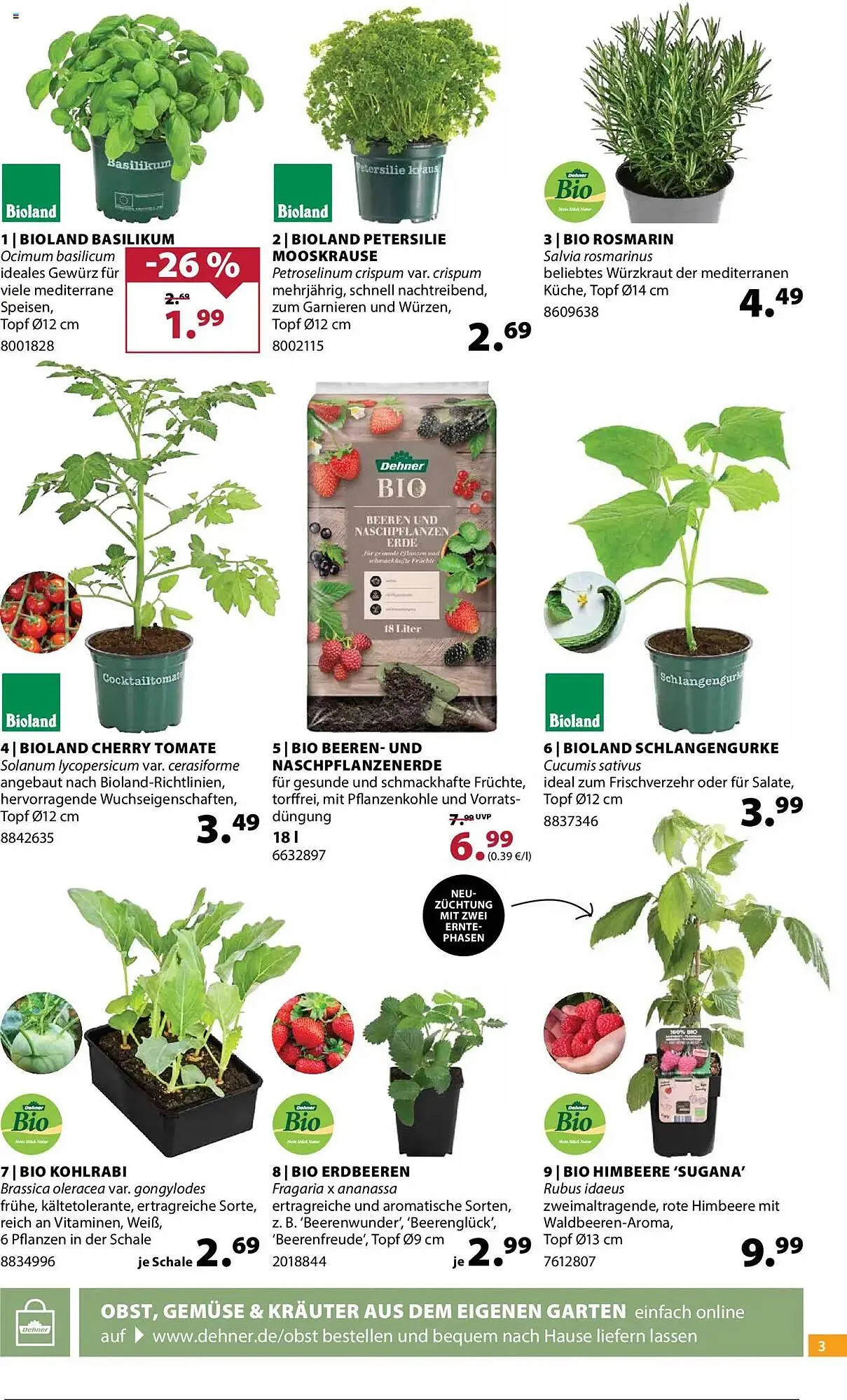 Dehner Prospekt von 2. April bis 7. April 2025 - Prospekt seite 3