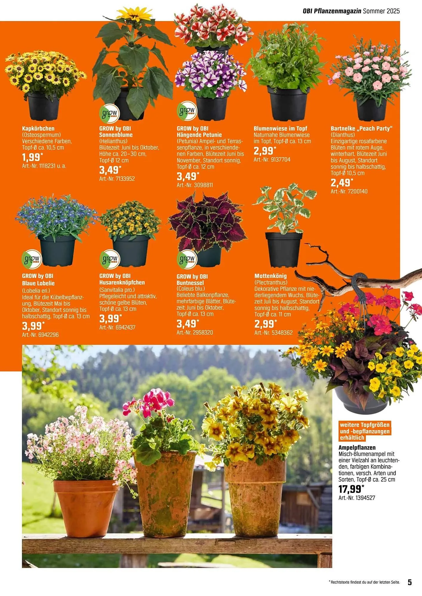 OBI Prospekt von 5. Mai bis 26. Mai 2025 - Prospekt seite 5
