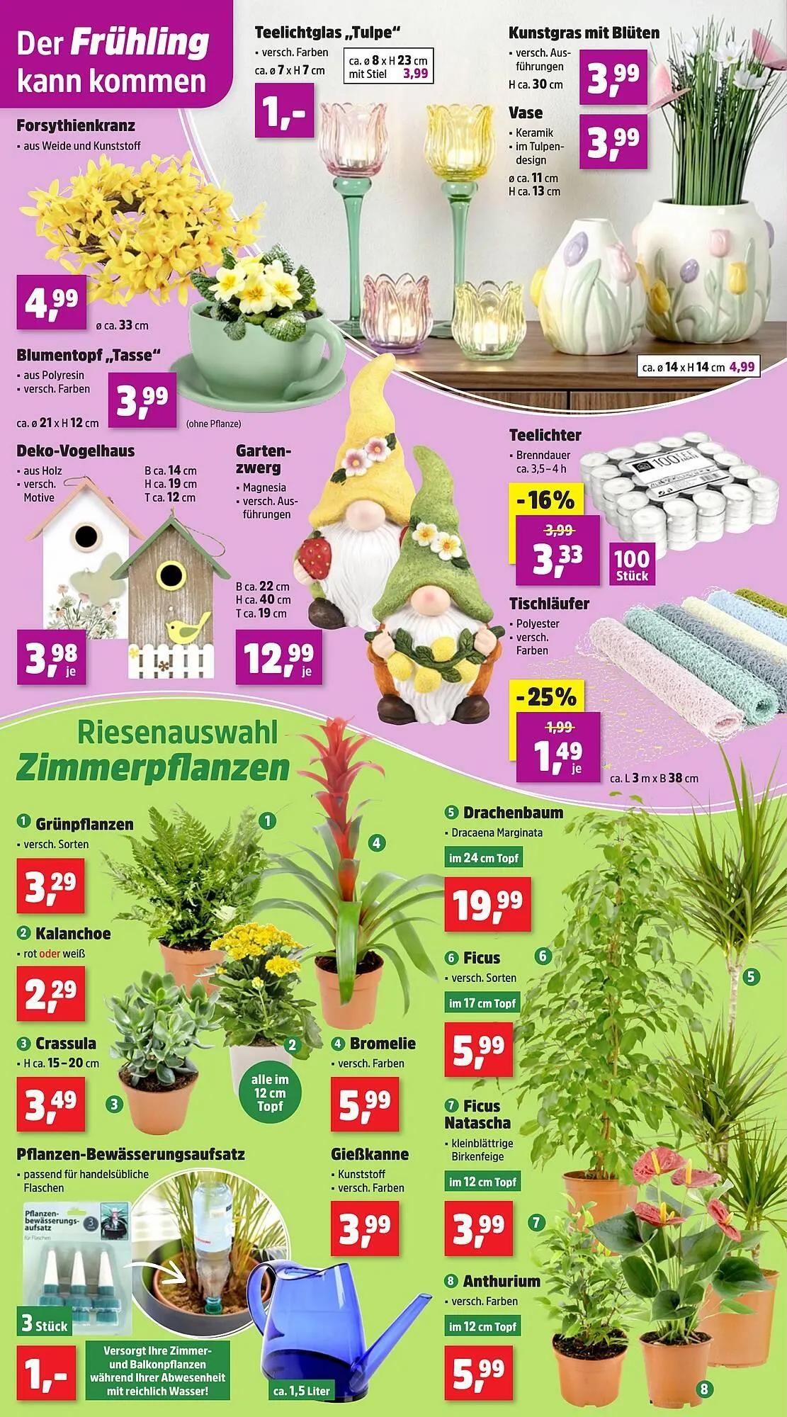 Thomas Philipps Prospekt von 26. Januar bis 31. Januar 2026 - Prospekt seite 4