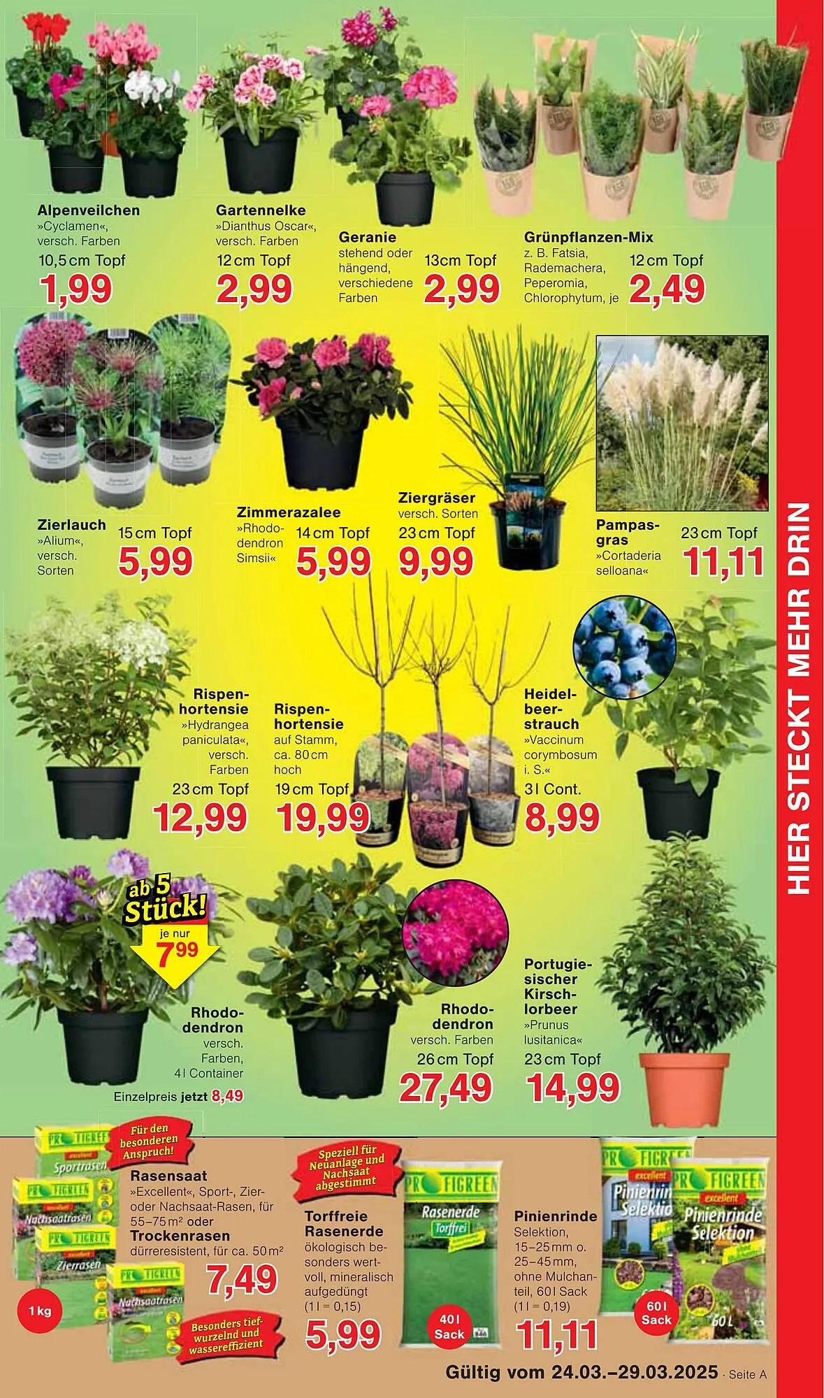 Jawoll Prospekt von 24. März bis 29. März 2025 - Prospekt seite 7