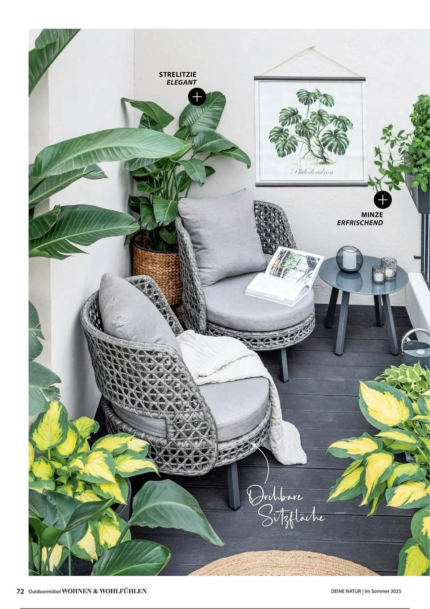 Dehner Prospekt von 1. Juli bis 31. Dezember 2025 - Prospekt seite 72