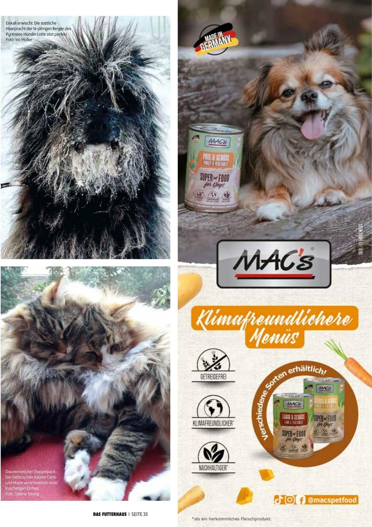 Futterhaus Aktueller Prospekt von 1. Dezember bis 31. Dezember 2025 - Prospekt seite 33