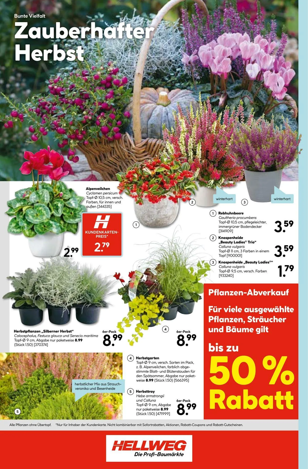 Hellweg Aktueller Prospekt von 24. November bis 8. Dezember 2025 - Prospekt seite 24