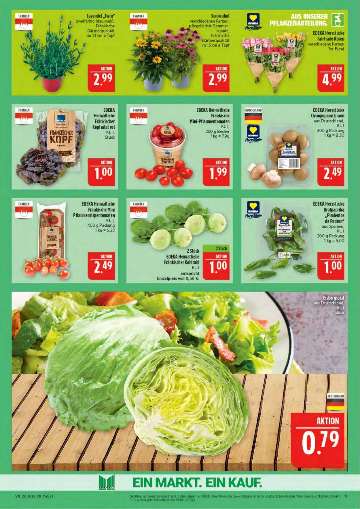 Marktkauf - Nürnberg-Thon Aktueller Prospekt von 14. Juli bis 19. Juli 2025 - Prospekt seite 11