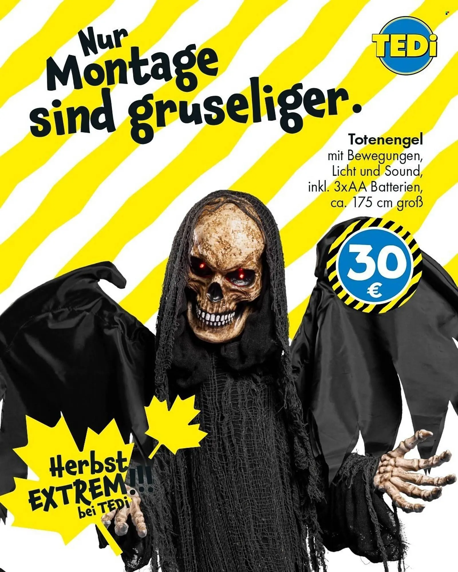 TEDi Prospekt von 29. September bis 7. Oktober 2025 - Prospekt seite 3