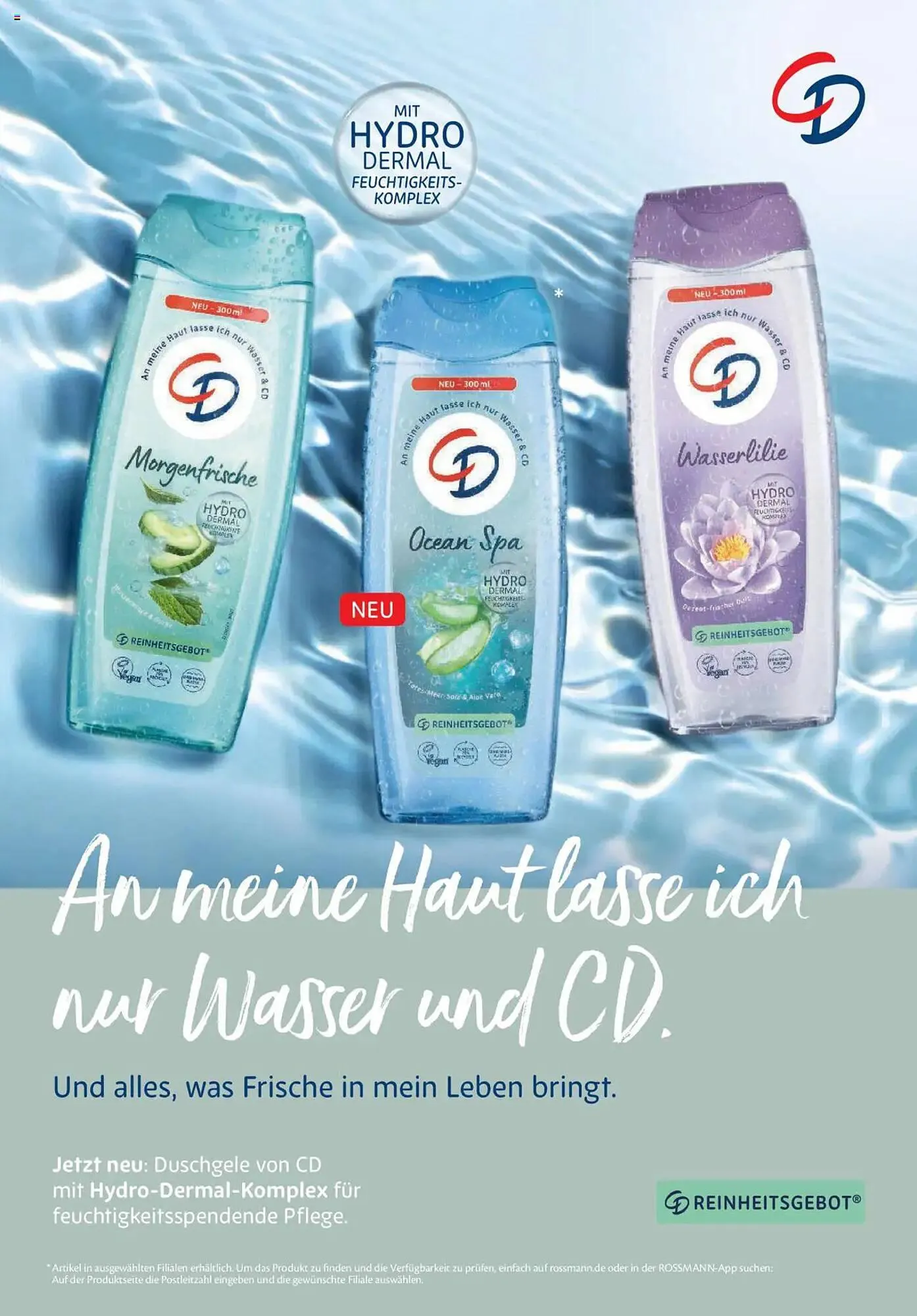 Rossmann Prospekt von 1. August bis 31. August 2025 - Prospekt seite 33