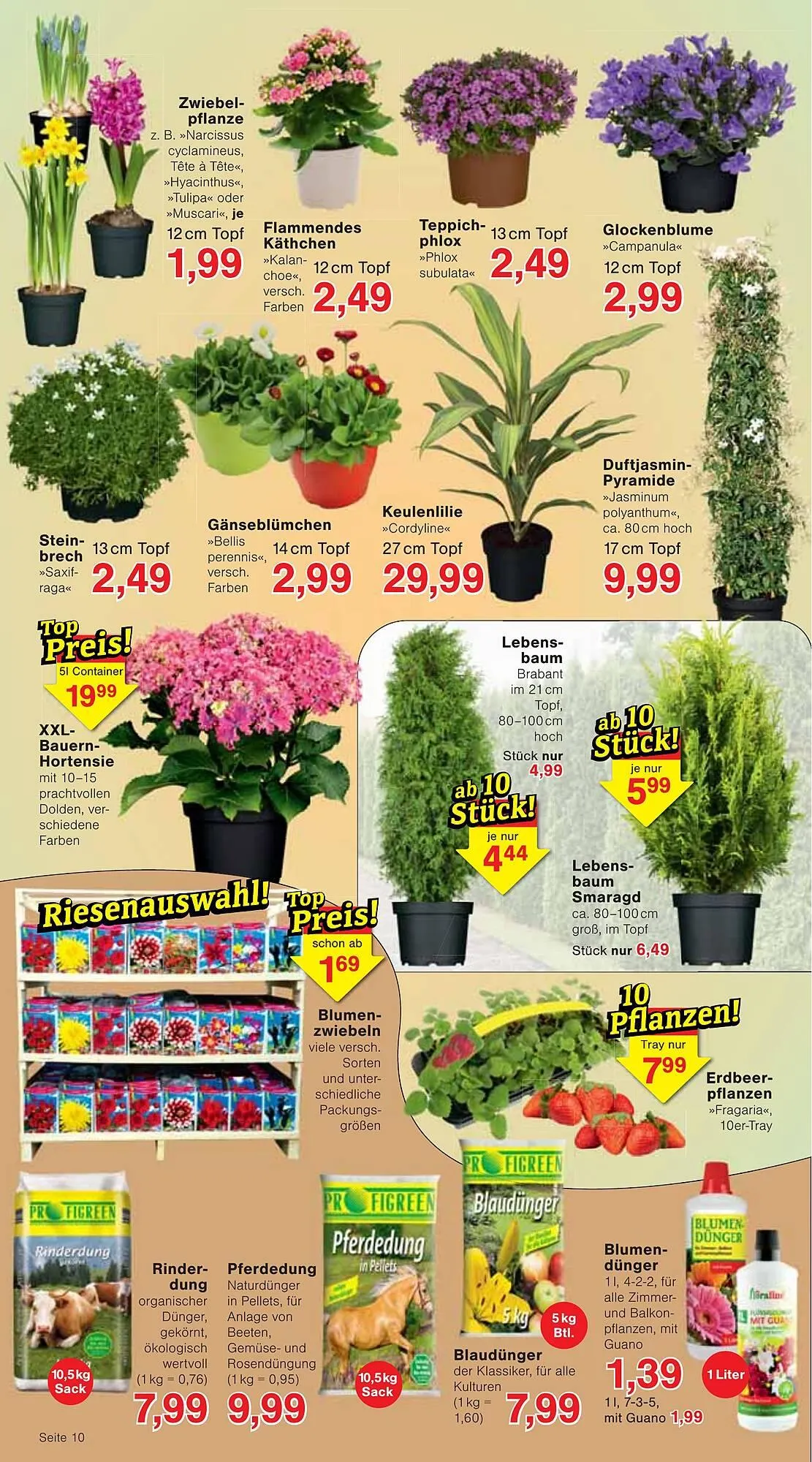 Jawoll Prospekt von 24. März bis 29. März 2025 - Prospekt seite 14