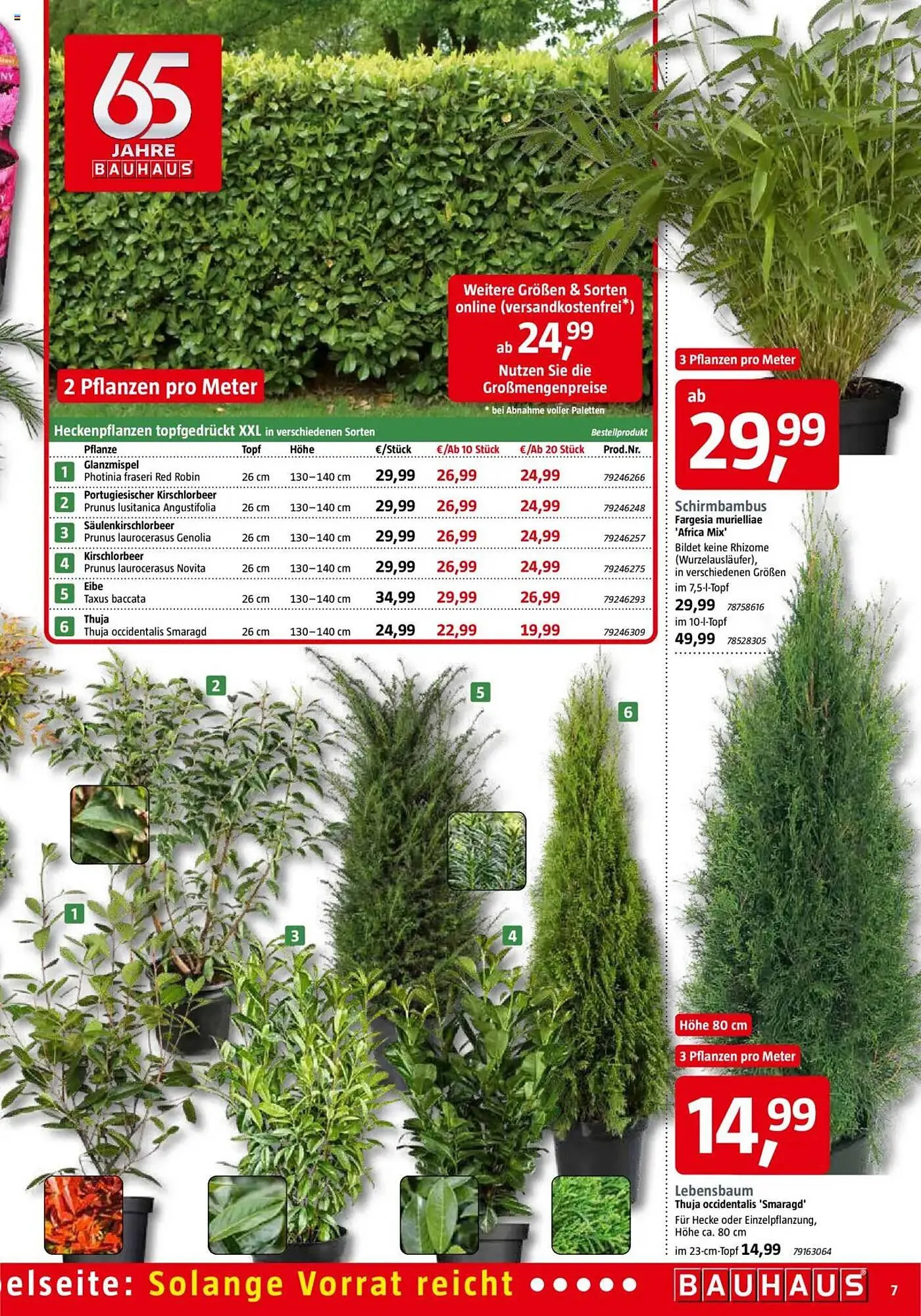 Bauhaus Prospekt von 29. März bis 3. Mai 2025 - Prospekt seite 7