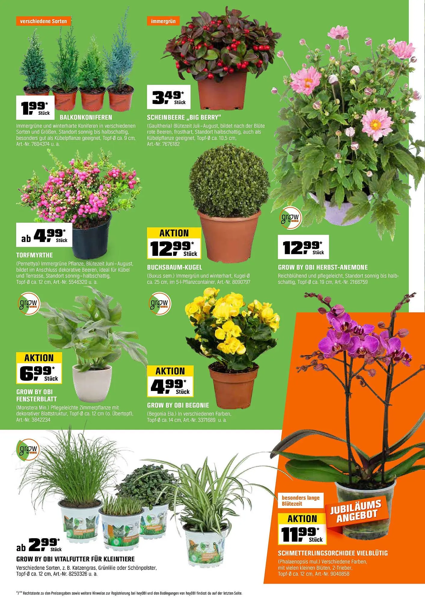 OBI Prospekt von 31. August bis 14. September 2025 - Prospekt seite 8